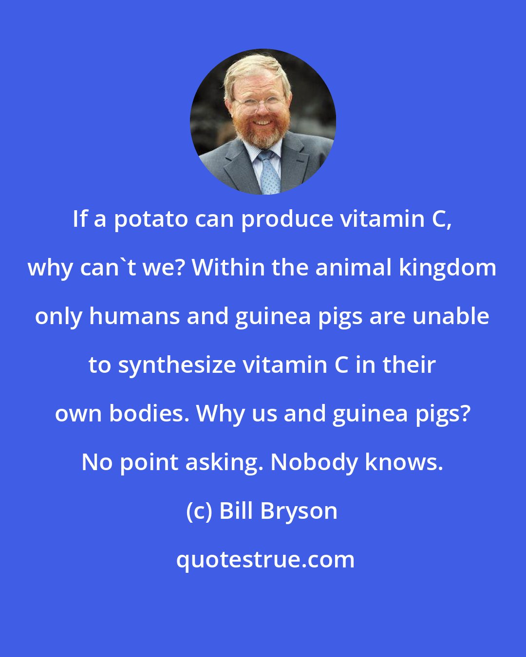 Bill Bryson: If a potato can produce vitamin C, why can't we? Within the animal kingdom only humans and guinea pigs are unable to synthesize vitamin C in their own bodies. Why us and guinea pigs? No point asking. Nobody knows.