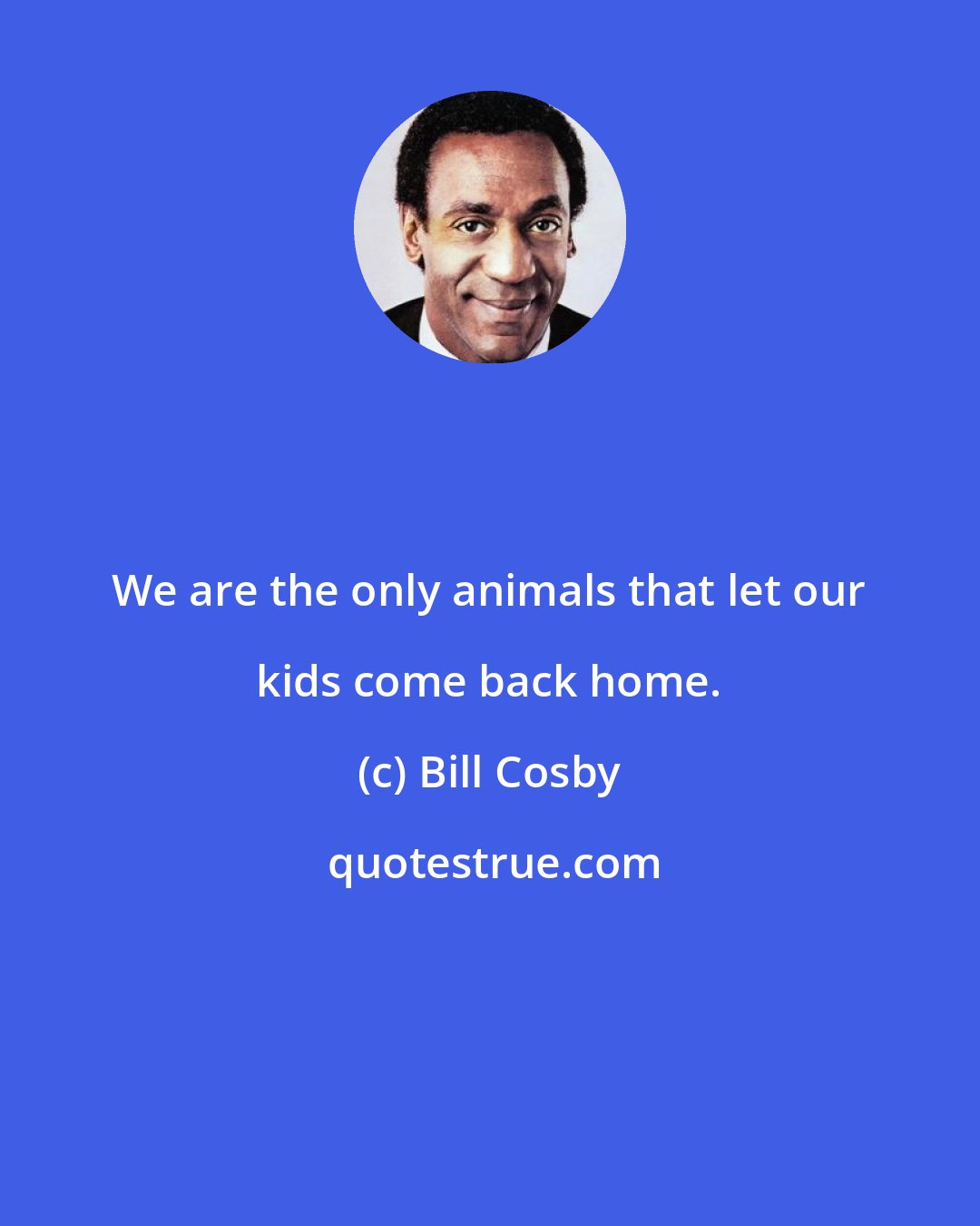 Bill Cosby: We are the only animals that let our kids come back home.