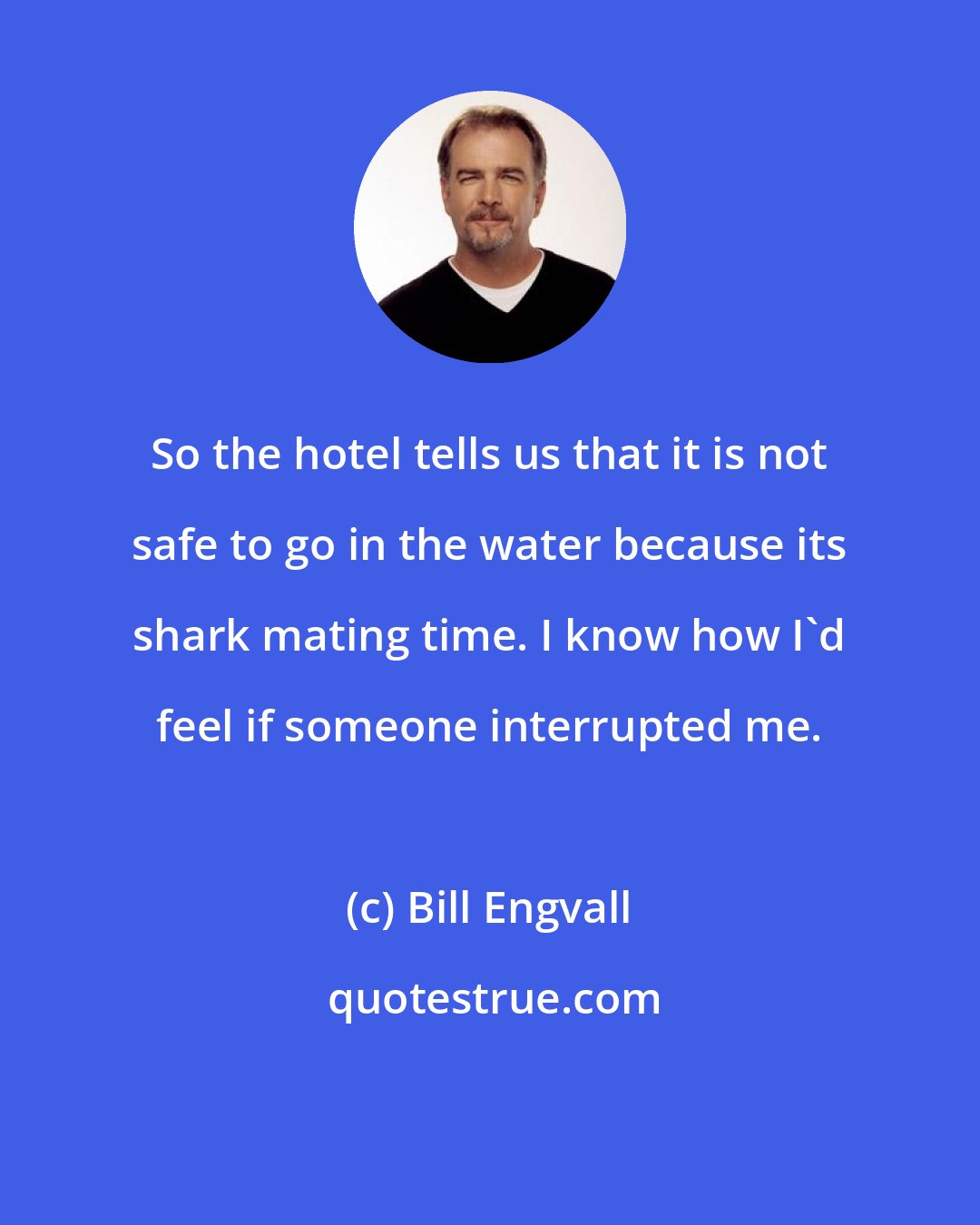 Bill Engvall: So the hotel tells us that it is not safe to go in the water because its shark mating time. I know how I'd feel if someone interrupted me.