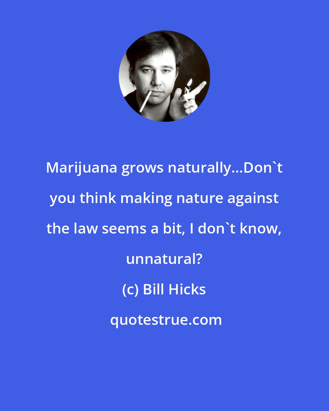 Bill Hicks: Marijuana grows naturally...Don't you think making nature against the law seems a bit, I don't know, unnatural?