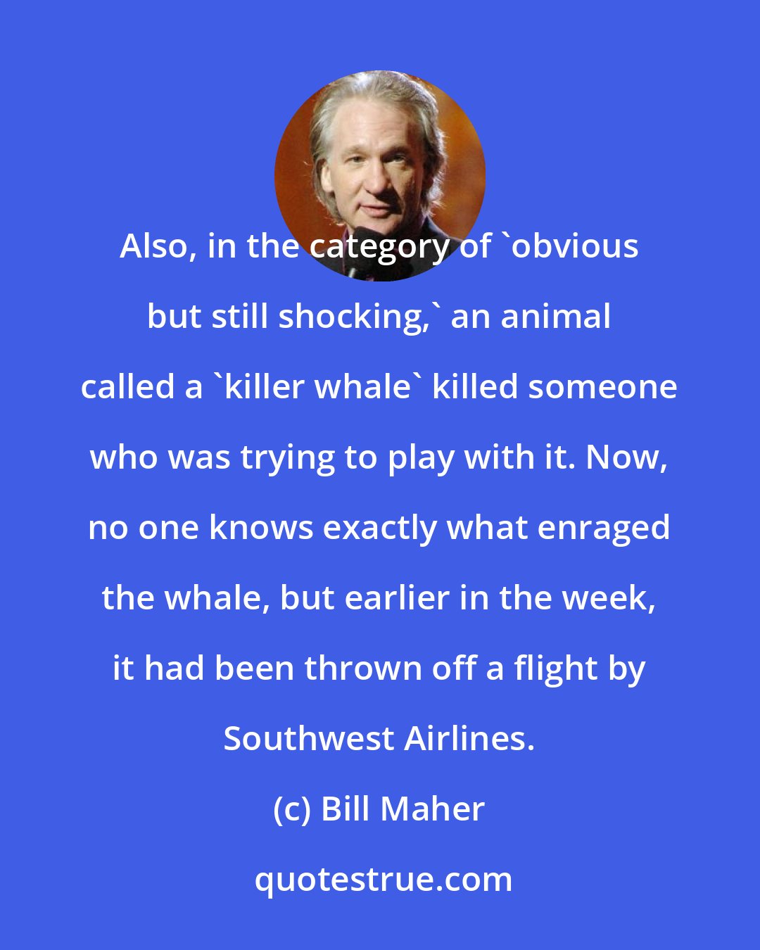 Bill Maher: Also, in the category of 'obvious but still shocking,' an animal called a 'killer whale' killed someone who was trying to play with it. Now, no one knows exactly what enraged the whale, but earlier in the week, it had been thrown off a flight by Southwest Airlines.