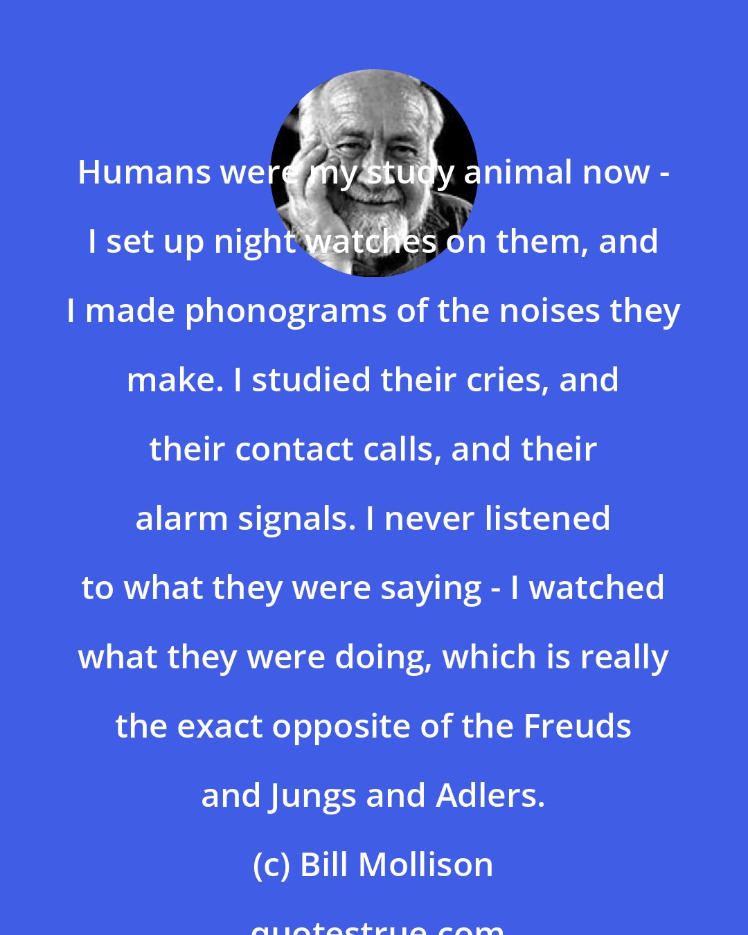 Bill Mollison: Humans were my study animal now - I set up night watches on them, and I made phonograms of the noises they make. I studied their cries, and their contact calls, and their alarm signals. I never listened to what they were saying - I watched what they were doing, which is really the exact opposite of the Freuds and Jungs and Adlers.