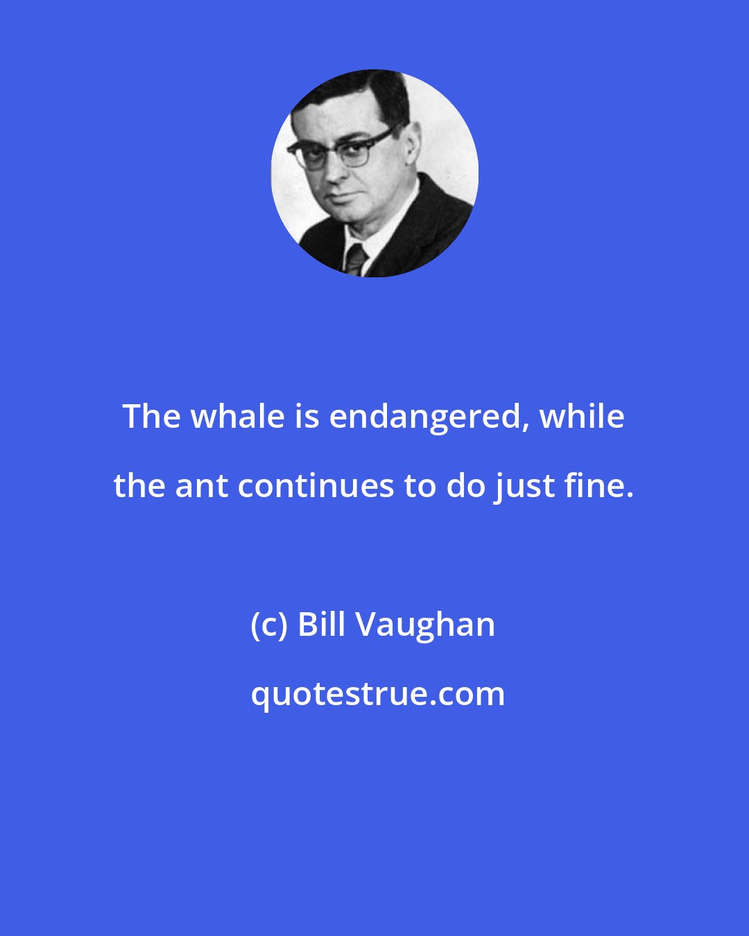 Bill Vaughan: The whale is endangered, while the ant continues to do just fine.