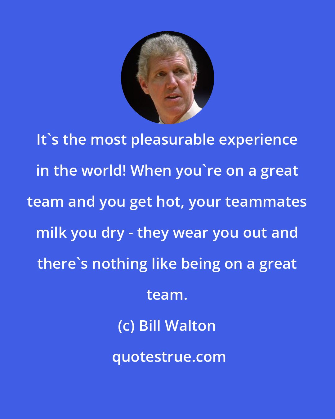 Bill Walton: It's the most pleasurable experience in the world! When you're on a great team and you get hot, your teammates milk you dry - they wear you out and there's nothing like being on a great team.