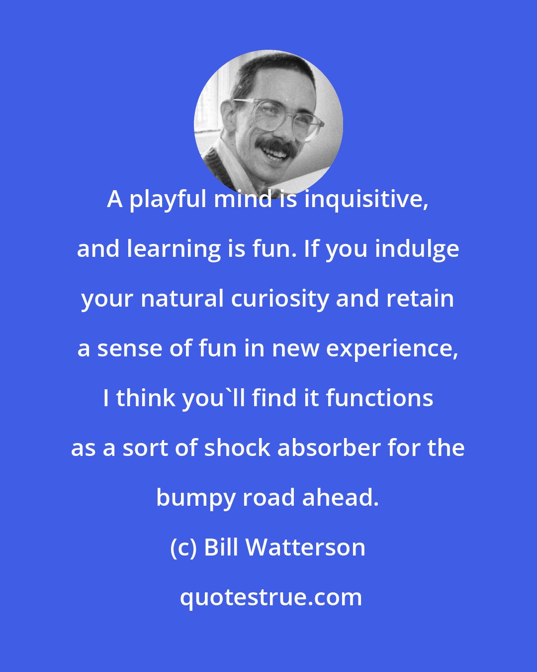 Bill Watterson: A playful mind is inquisitive, and learning is fun. If you indulge your natural curiosity and retain a sense of fun in new experience, I think you'll find it functions as a sort of shock absorber for the bumpy road ahead.