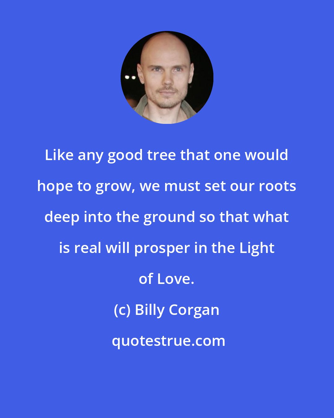 Billy Corgan: Like any good tree that one would hope to grow, we must set our roots deep into the ground so that what is real will prosper in the Light of Love.