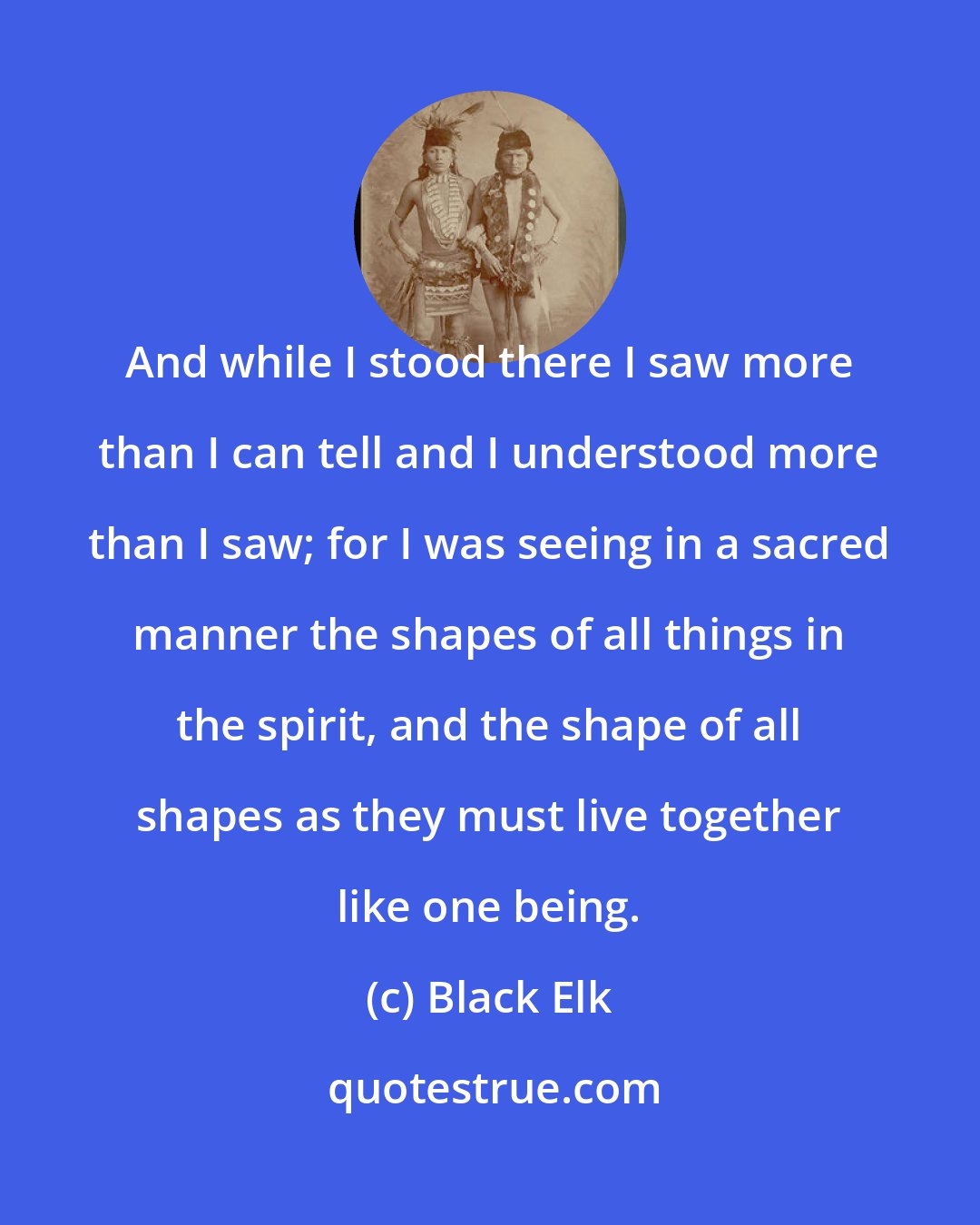 Black Elk: And while I stood there I saw more than I can tell and I understood more than I saw; for I was seeing in a sacred manner the shapes of all things in the spirit, and the shape of all shapes as they must live together like one being.