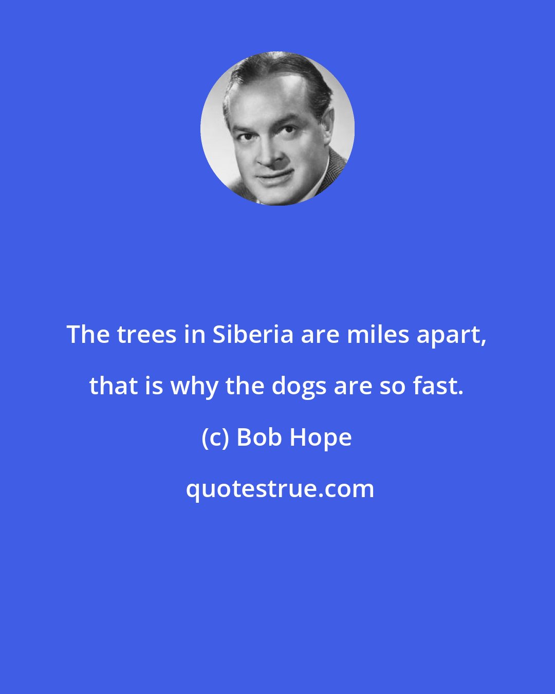 Bob Hope: The trees in Siberia are miles apart, that is why the dogs are so fast.