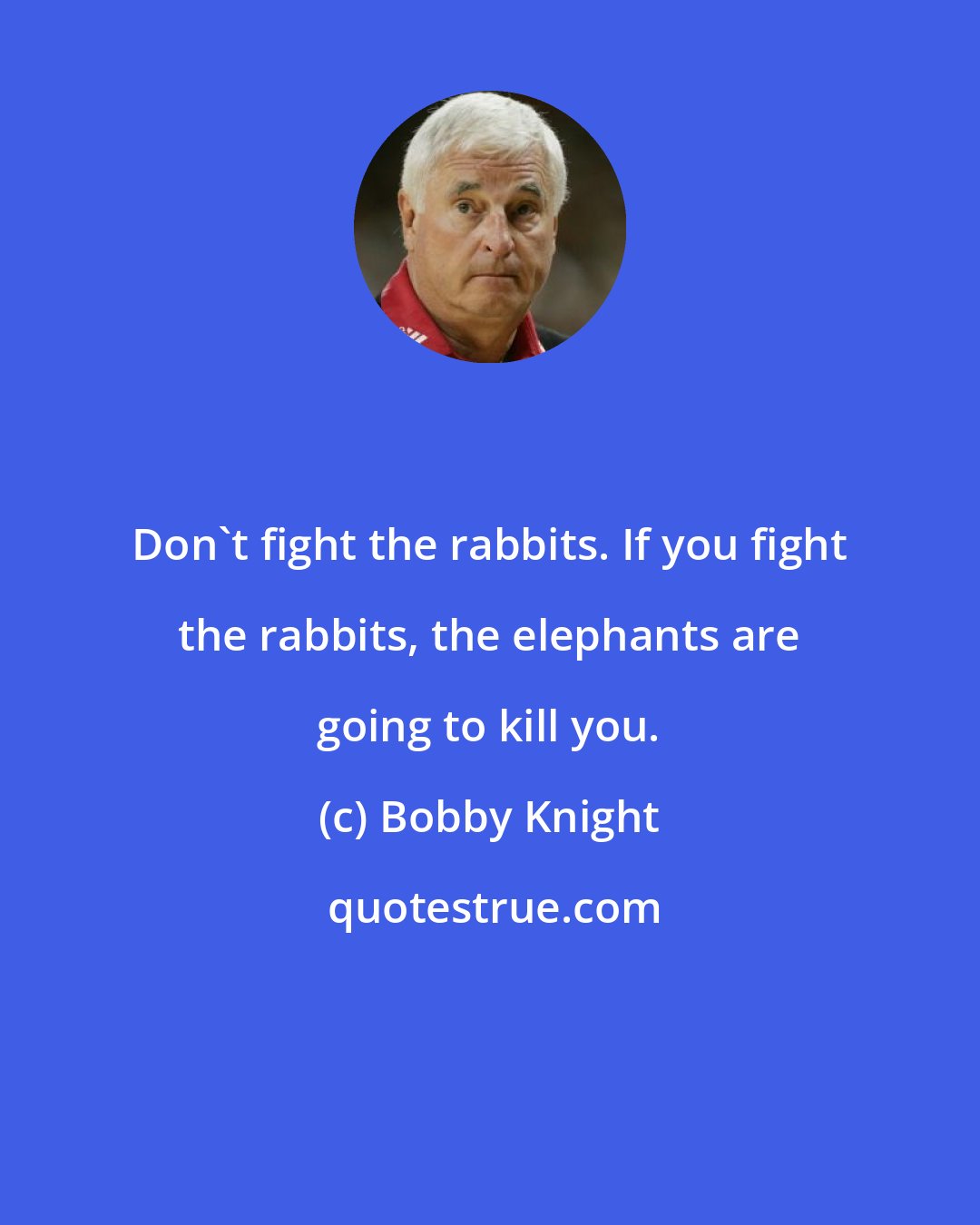 Bobby Knight: Don't fight the rabbits. If you fight the rabbits, the elephants are going to kill you.