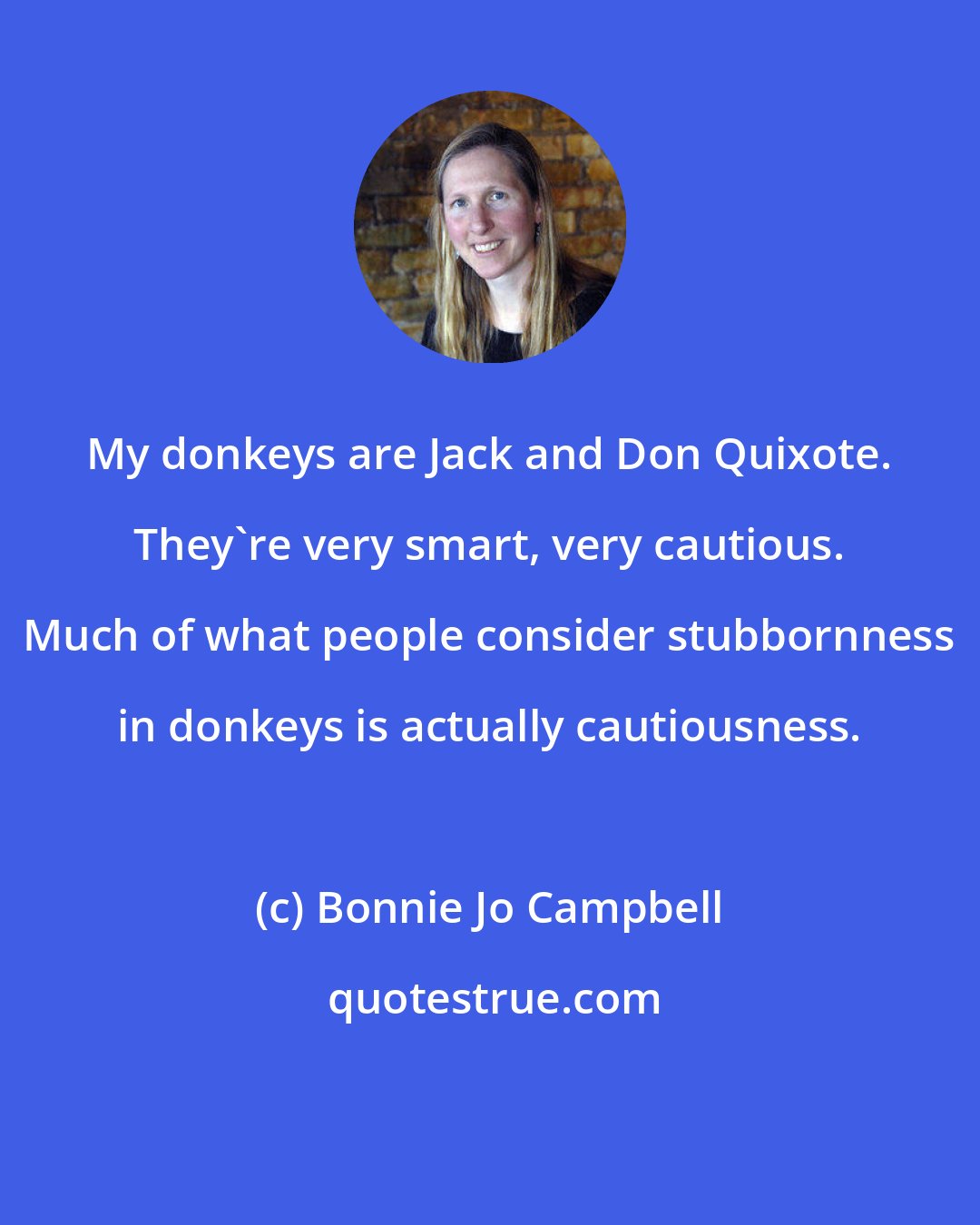 Bonnie Jo Campbell: My donkeys are Jack and Don Quixote. They're very smart, very cautious. Much of what people consider stubbornness in donkeys is actually cautiousness.