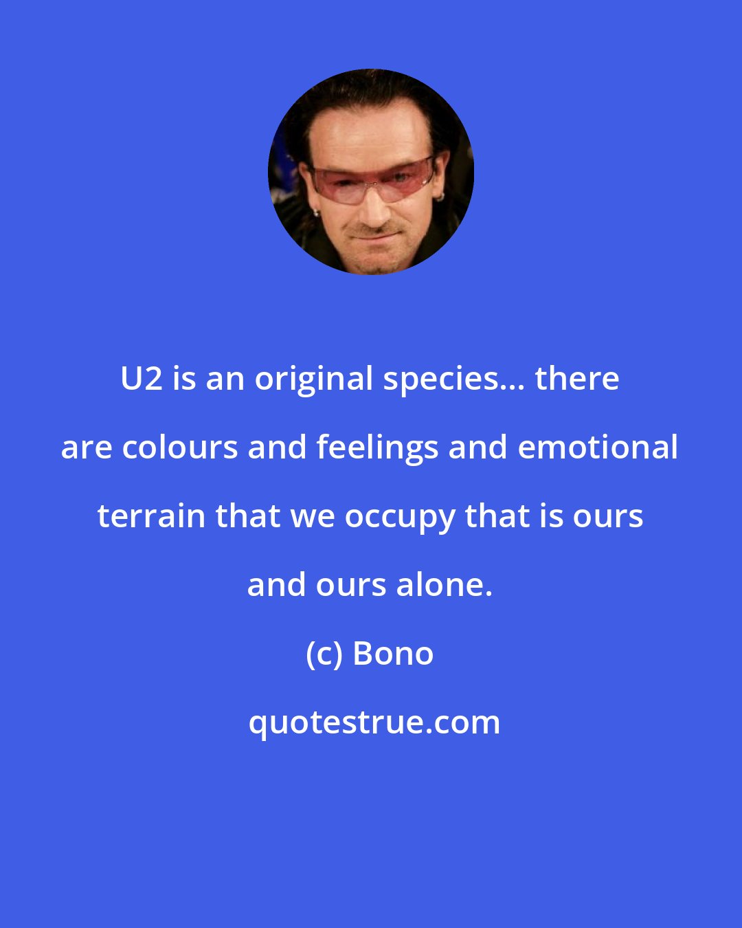 Bono: U2 is an original species... there are colours and feelings and emotional terrain that we occupy that is ours and ours alone.