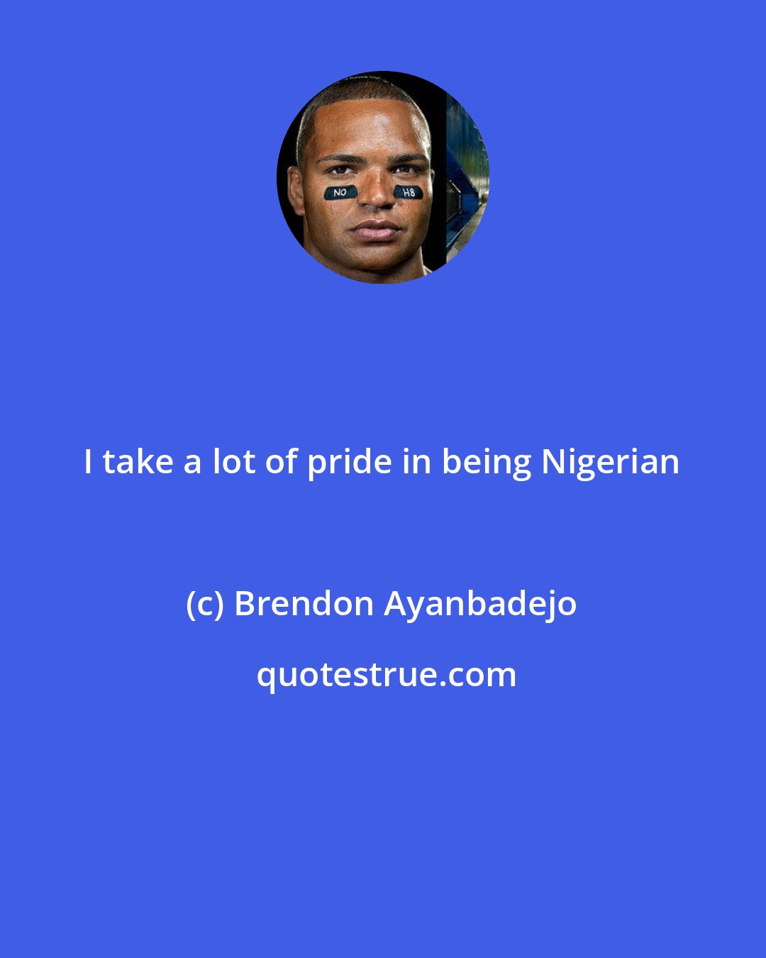 Brendon Ayanbadejo: I take a lot of pride in being Nigerian