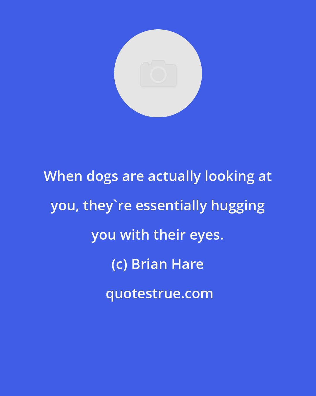 Brian Hare: When dogs are actually looking at you, they're essentially hugging you with their eyes.