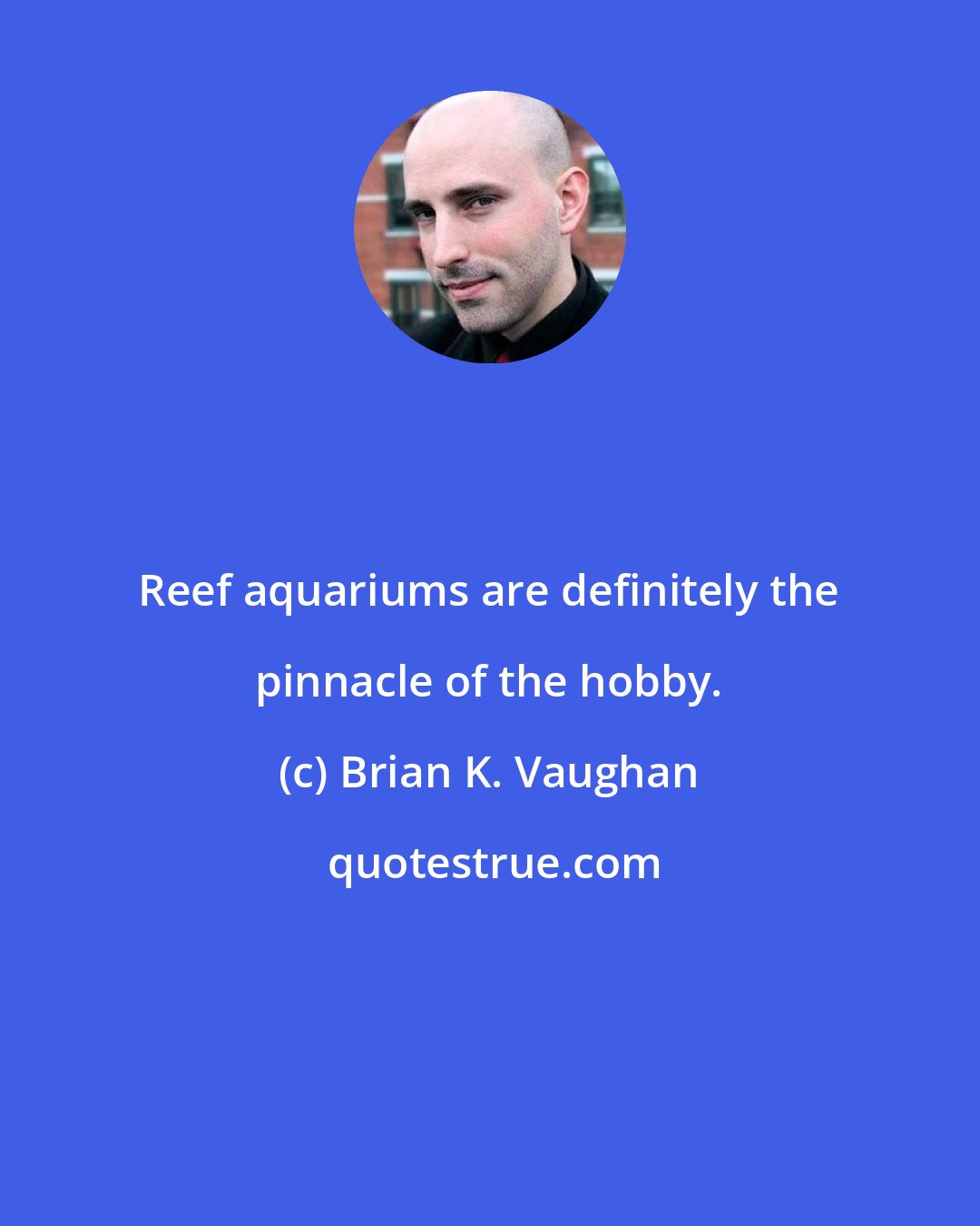 Brian K. Vaughan: Reef aquariums are definitely the pinnacle of the hobby.