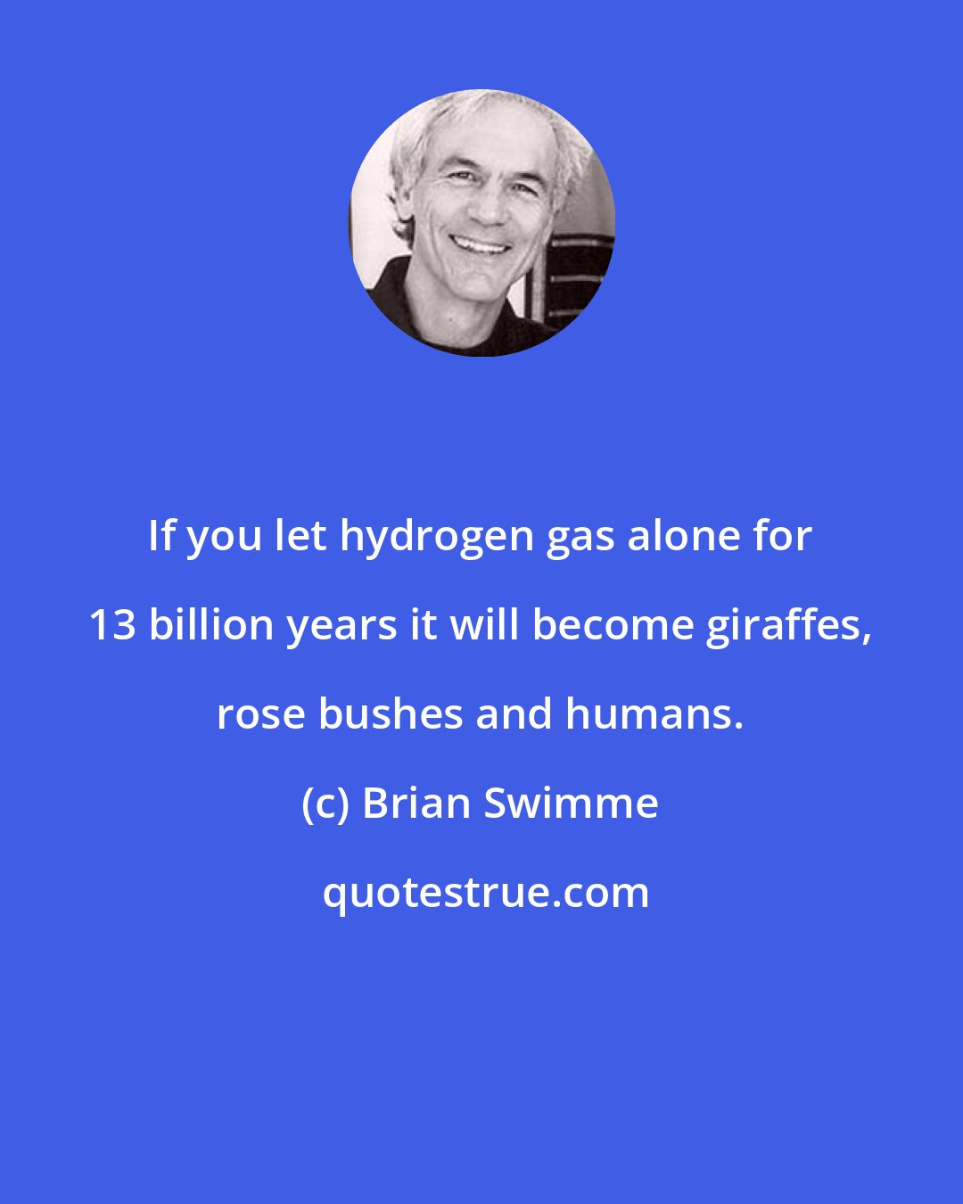 Brian Swimme: If you let hydrogen gas alone for 13 billion years it will become giraffes, rose bushes and humans.