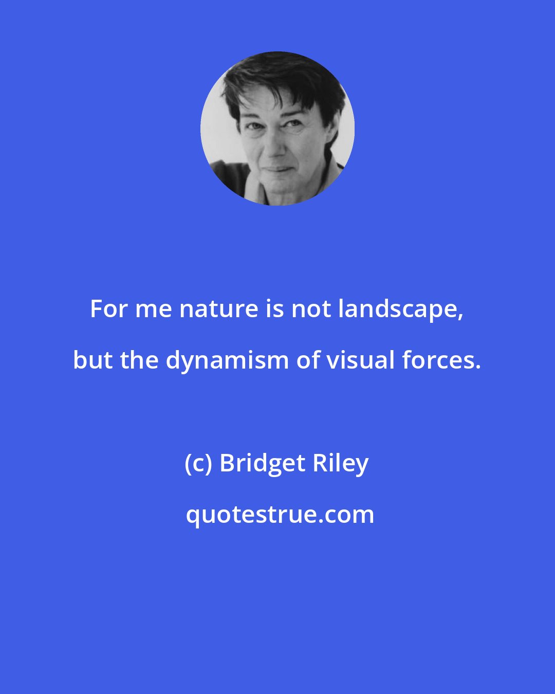 Bridget Riley: For me nature is not landscape, but the dynamism of visual forces.
