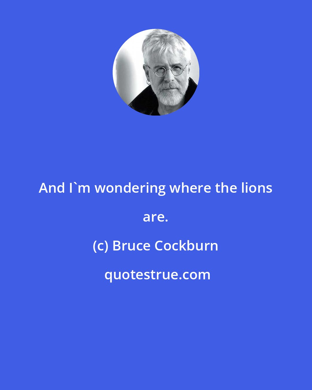 Bruce Cockburn: And I'm wondering where the lions are.