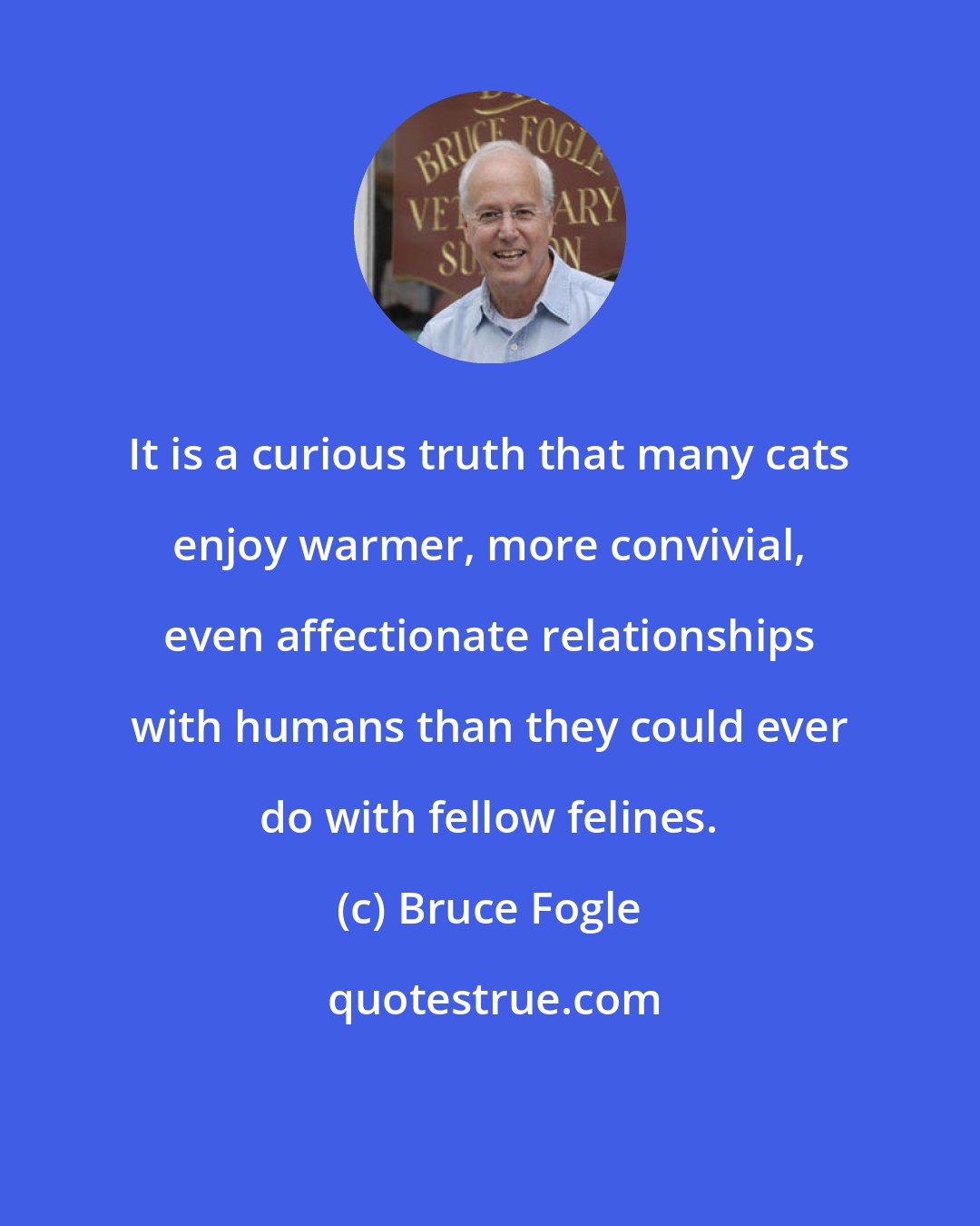 Bruce Fogle: It is a curious truth that many cats enjoy warmer, more convivial, even affectionate relationships with humans than they could ever do with fellow felines.