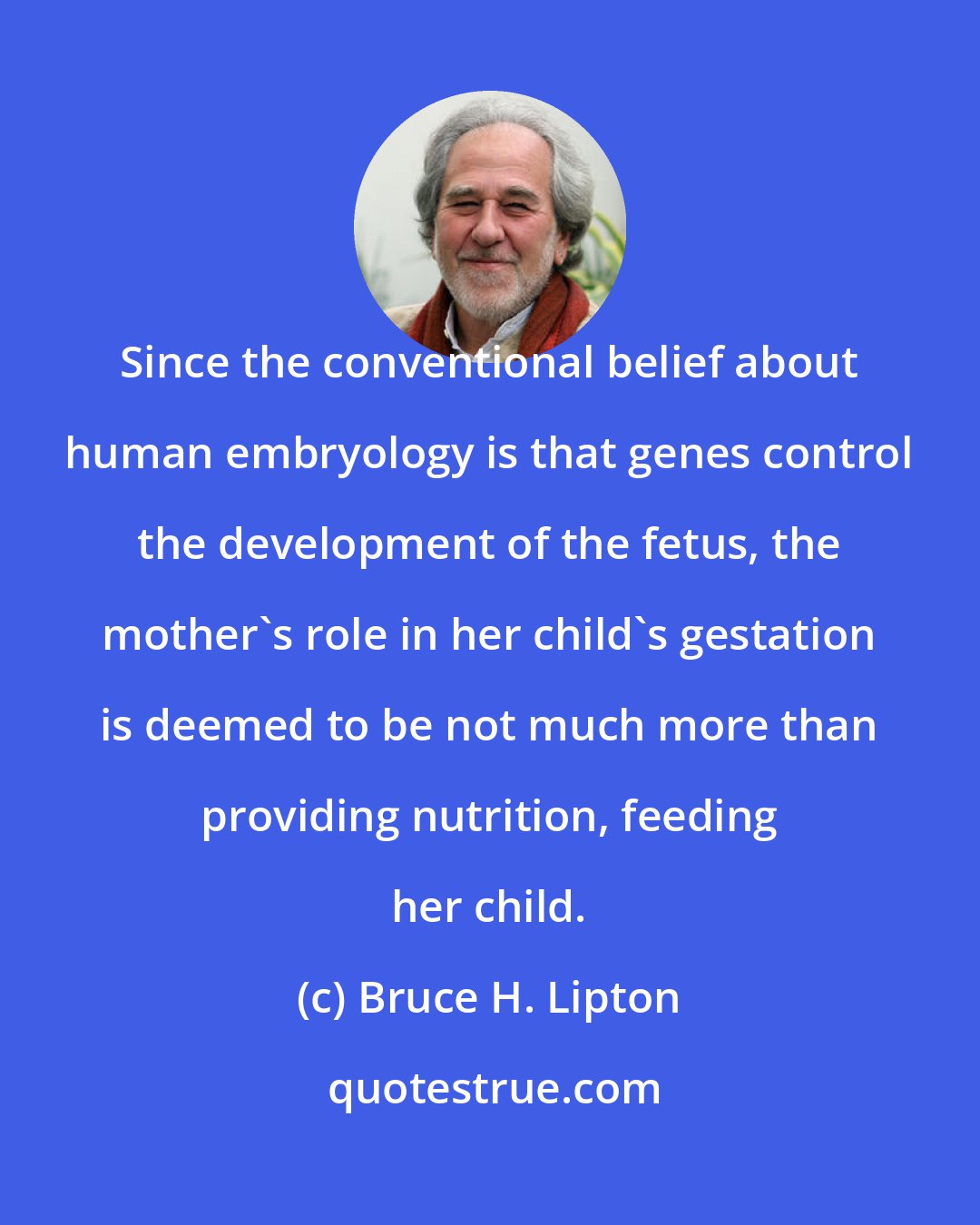 Bruce H. Lipton: Since the conventional belief about human embryology is that genes control the development of the fetus, the mother's role in her child's gestation is deemed to be not much more than providing nutrition, feeding her child.