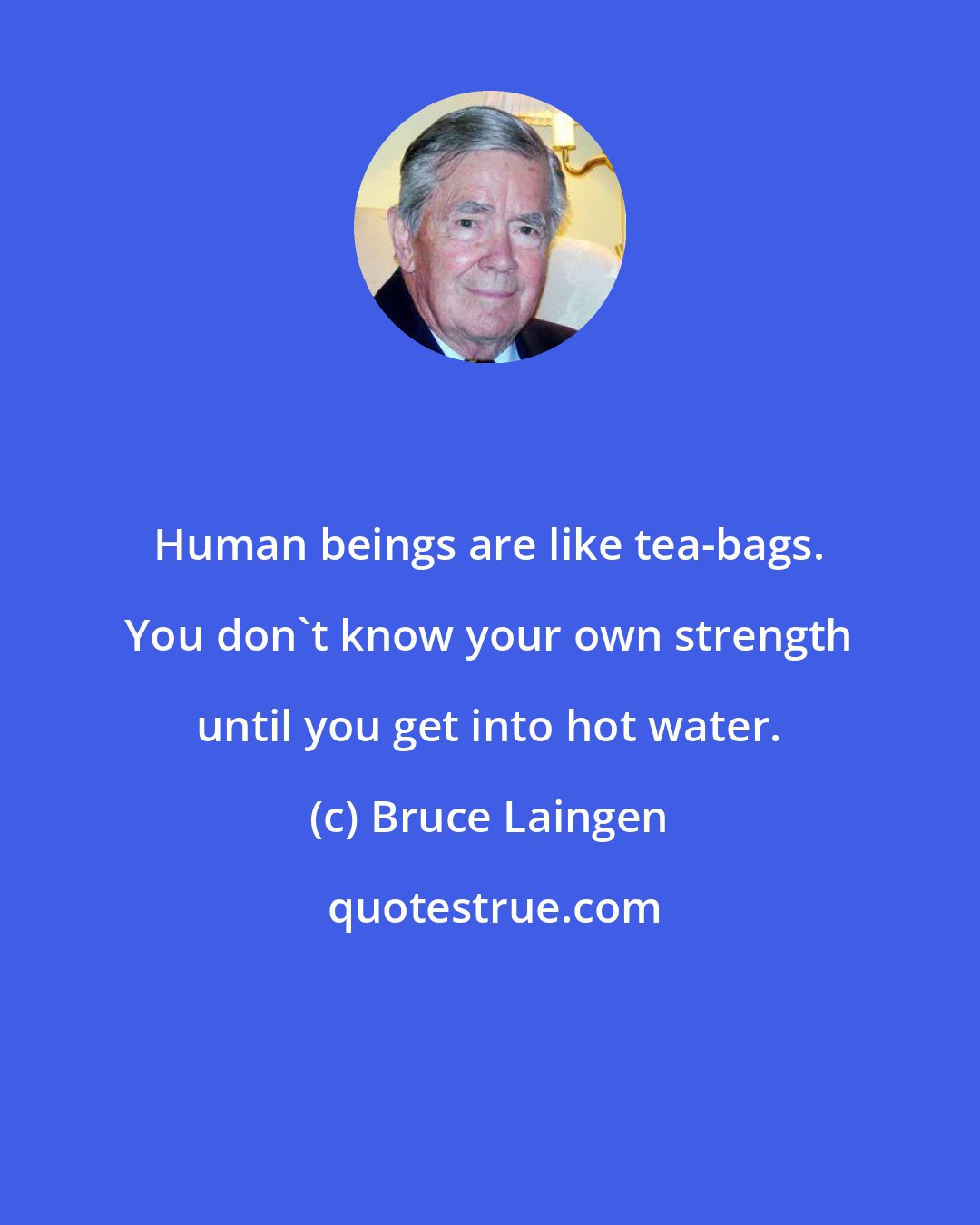 Bruce Laingen: Human beings are like tea-bags. You don't know your own strength until you get into hot water.