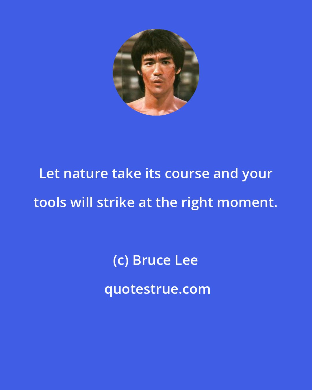 Bruce Lee: Let nature take its course and your tools will strike at the right moment.