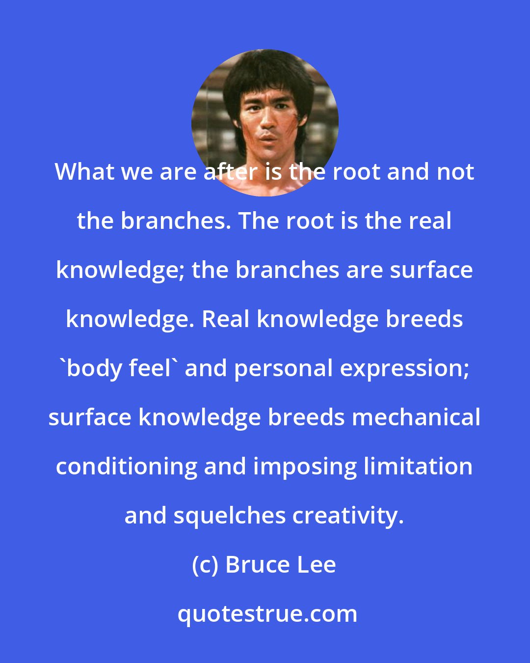 Bruce Lee: What we are after is the root and not the branches. The root is the real knowledge; the branches are surface knowledge. Real knowledge breeds 'body feel' and personal expression; surface knowledge breeds mechanical conditioning and imposing limitation and squelches creativity.