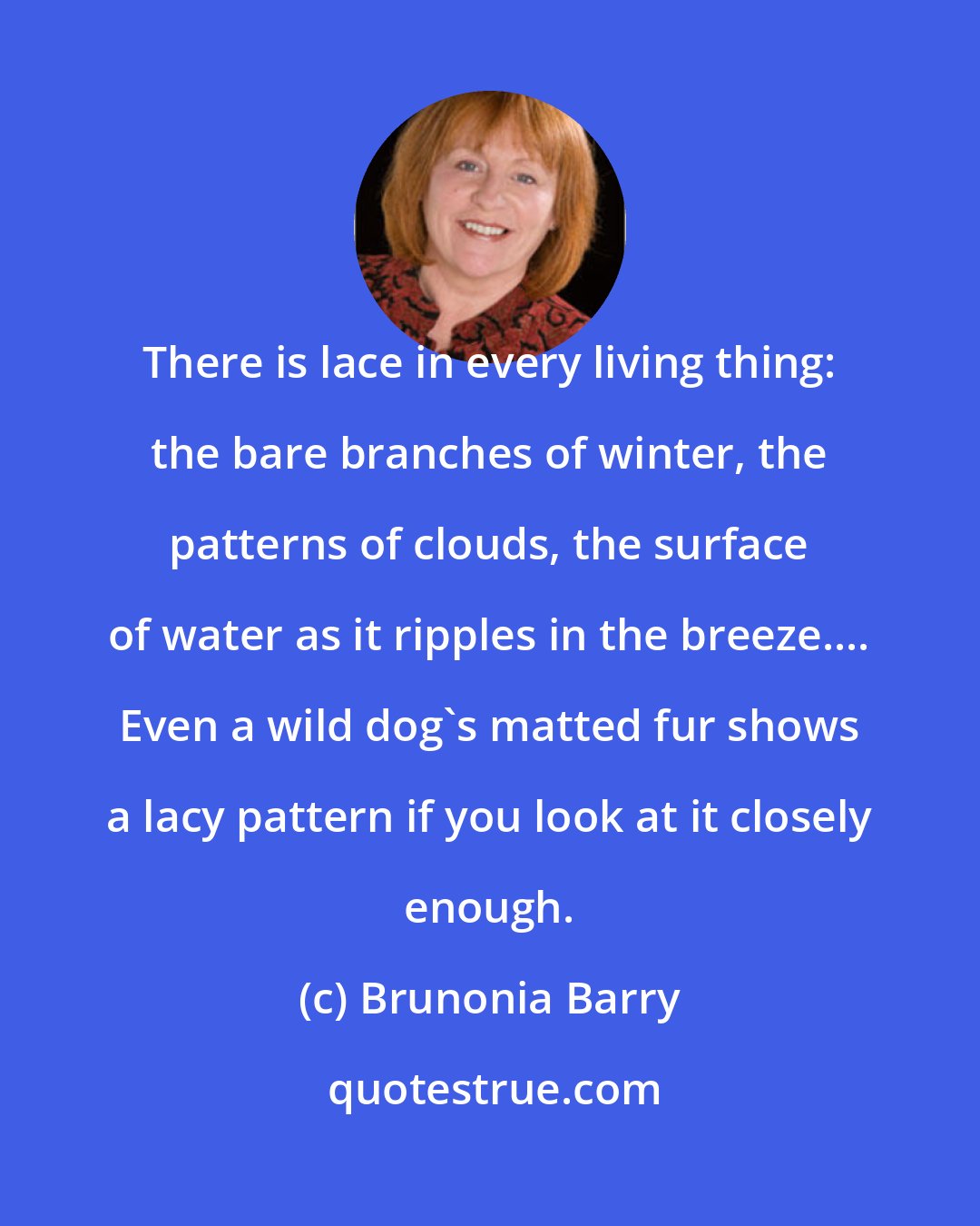 Brunonia Barry: There is lace in every living thing: the bare branches of winter, the patterns of clouds, the surface of water as it ripples in the breeze.... Even a wild dog's matted fur shows a lacy pattern if you look at it closely enough.