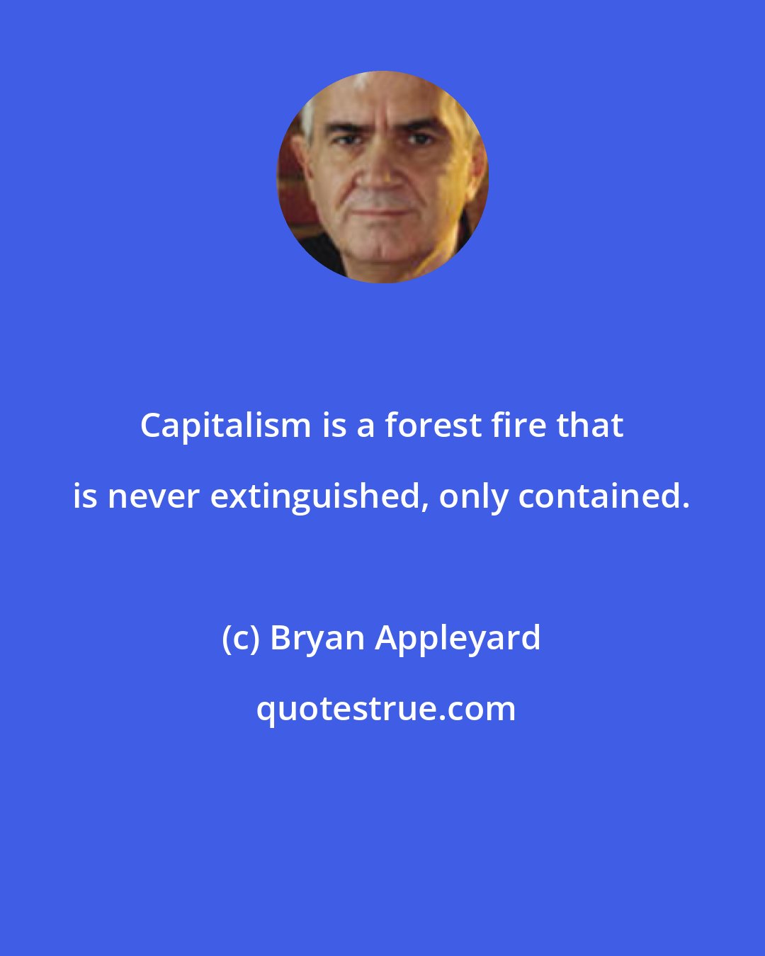 Bryan Appleyard: Capitalism is a forest fire that is never extinguished, only contained.