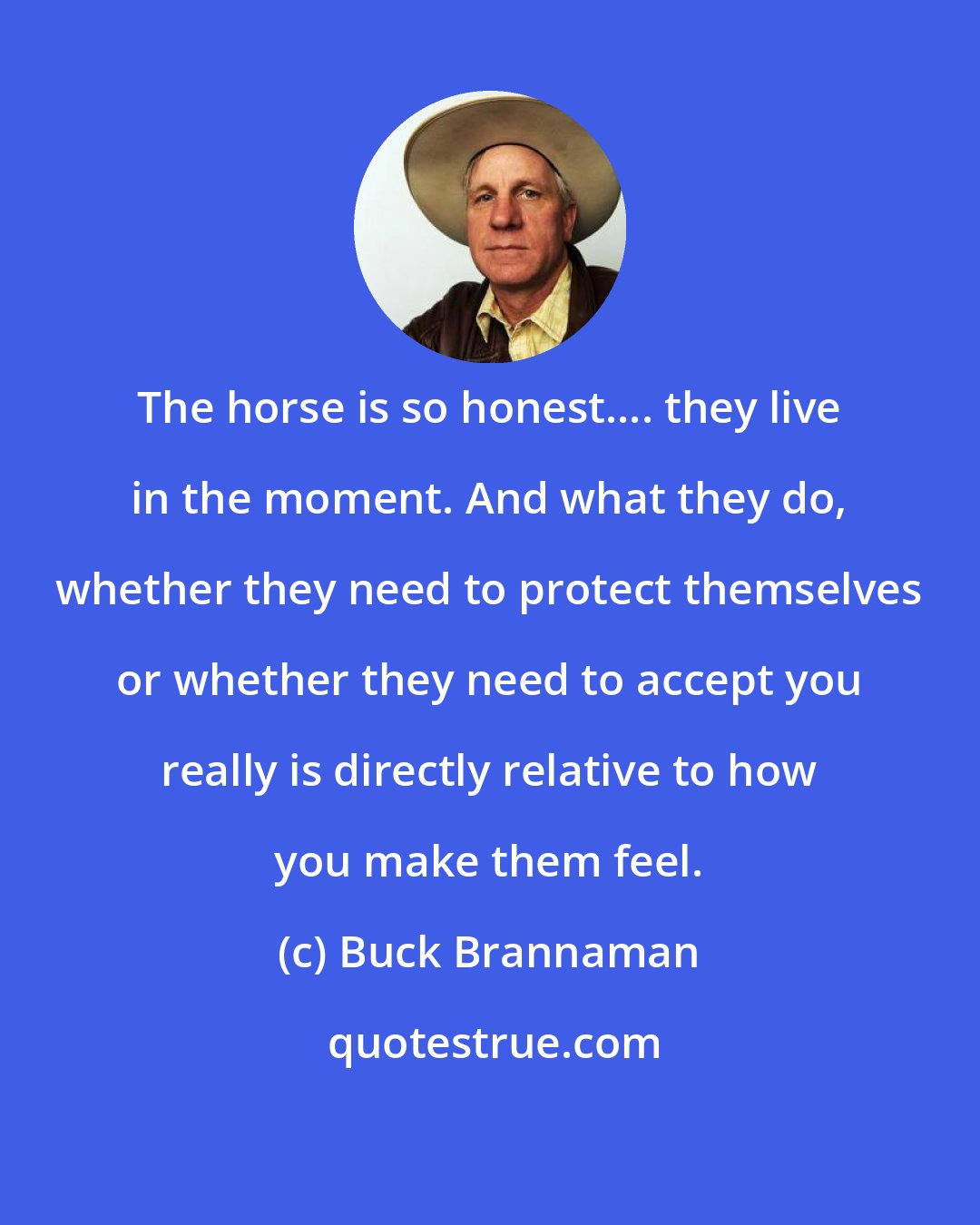 Buck Brannaman: The horse is so honest.... they live in the moment. And what they do, whether they need to protect themselves or whether they need to accept you really is directly relative to how you make them feel.