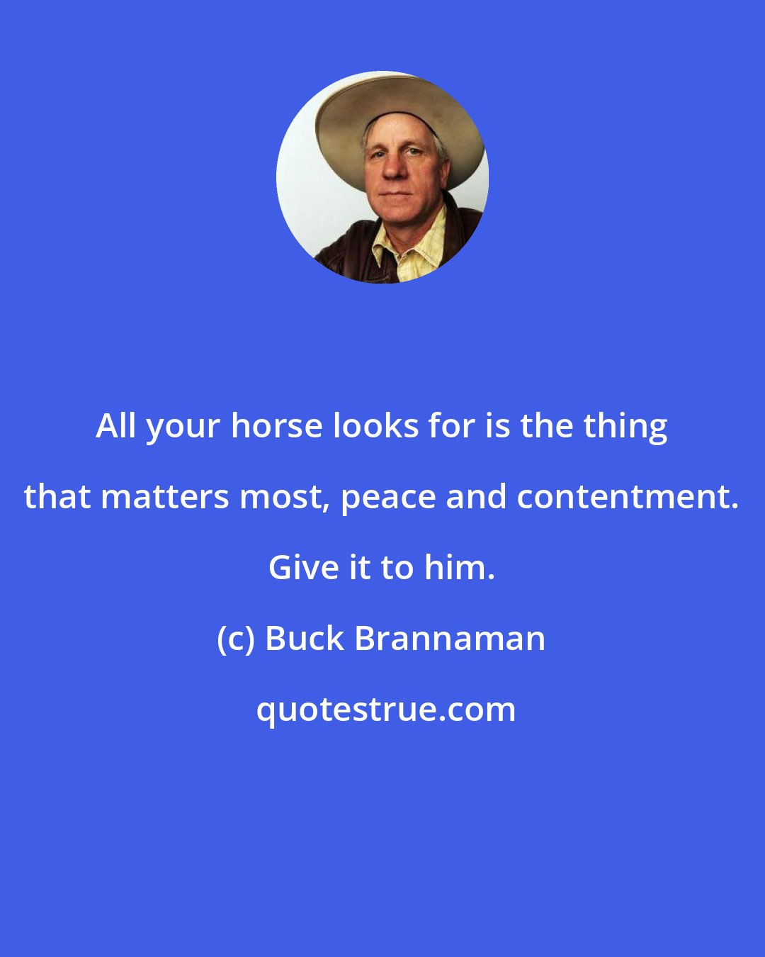 Buck Brannaman: All your horse looks for is the thing that matters most, peace and contentment. Give it to him.