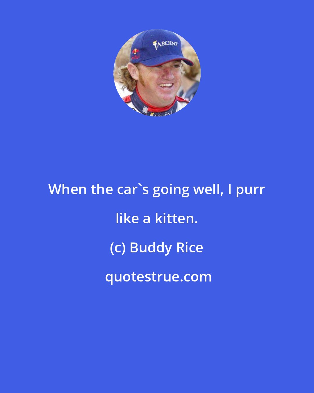 Buddy Rice: When the car's going well, I purr like a kitten.