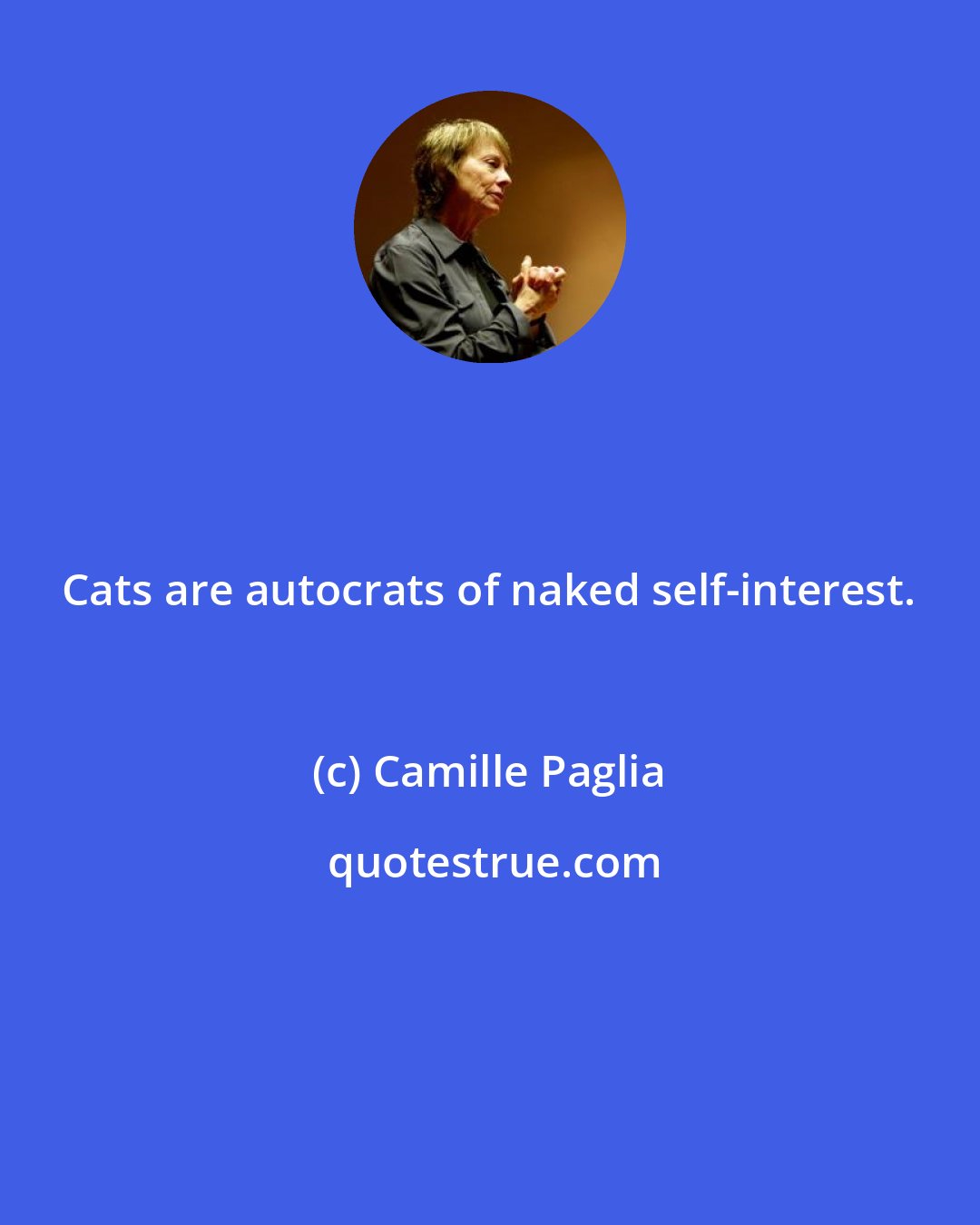Camille Paglia: Cats are autocrats of naked self-interest.