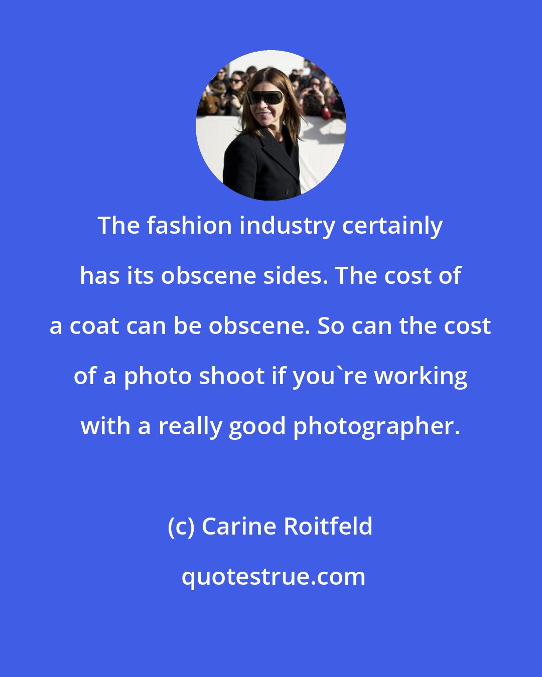 Carine Roitfeld: The fashion industry certainly has its obscene sides. The cost of a coat can be obscene. So can the cost of a photo shoot if you're working with a really good photographer.