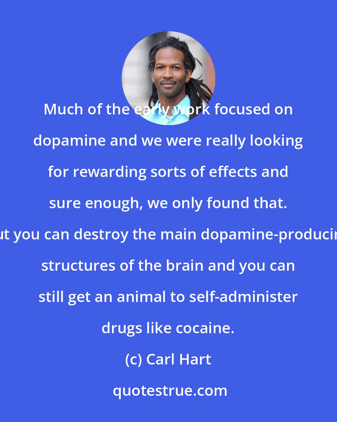 Carl Hart: Much of the early work focused on dopamine and we were really looking for rewarding sorts of effects and sure enough, we only found that. But you can destroy the main dopamine-producing structures of the brain and you can still get an animal to self-administer drugs like cocaine.