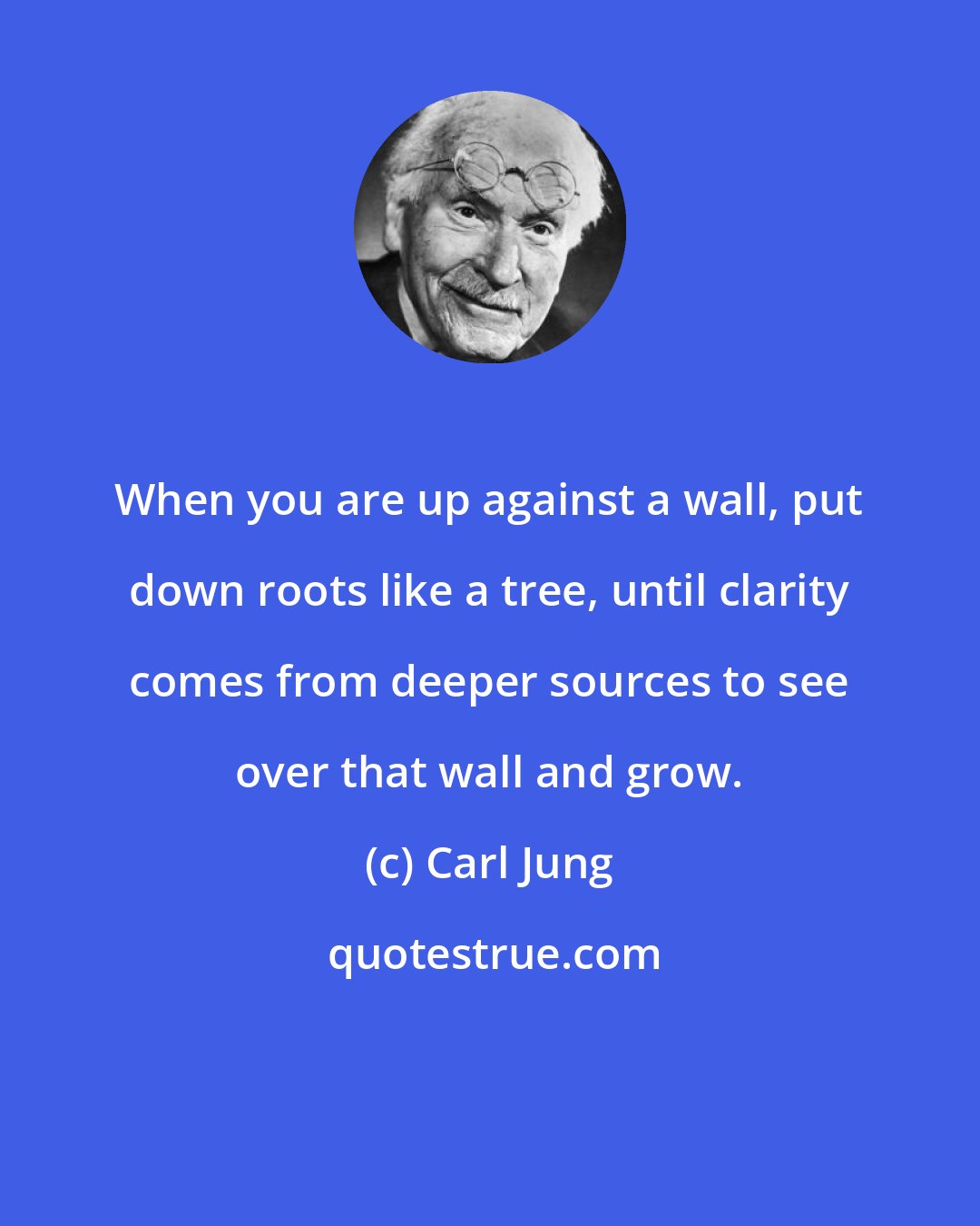 Carl Jung: When you are up against a wall, put down roots like a tree, until clarity comes from deeper sources to see over that wall and grow.