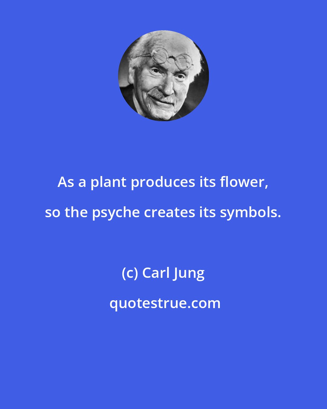 Carl Jung: As a plant produces its flower, so the psyche creates its symbols.