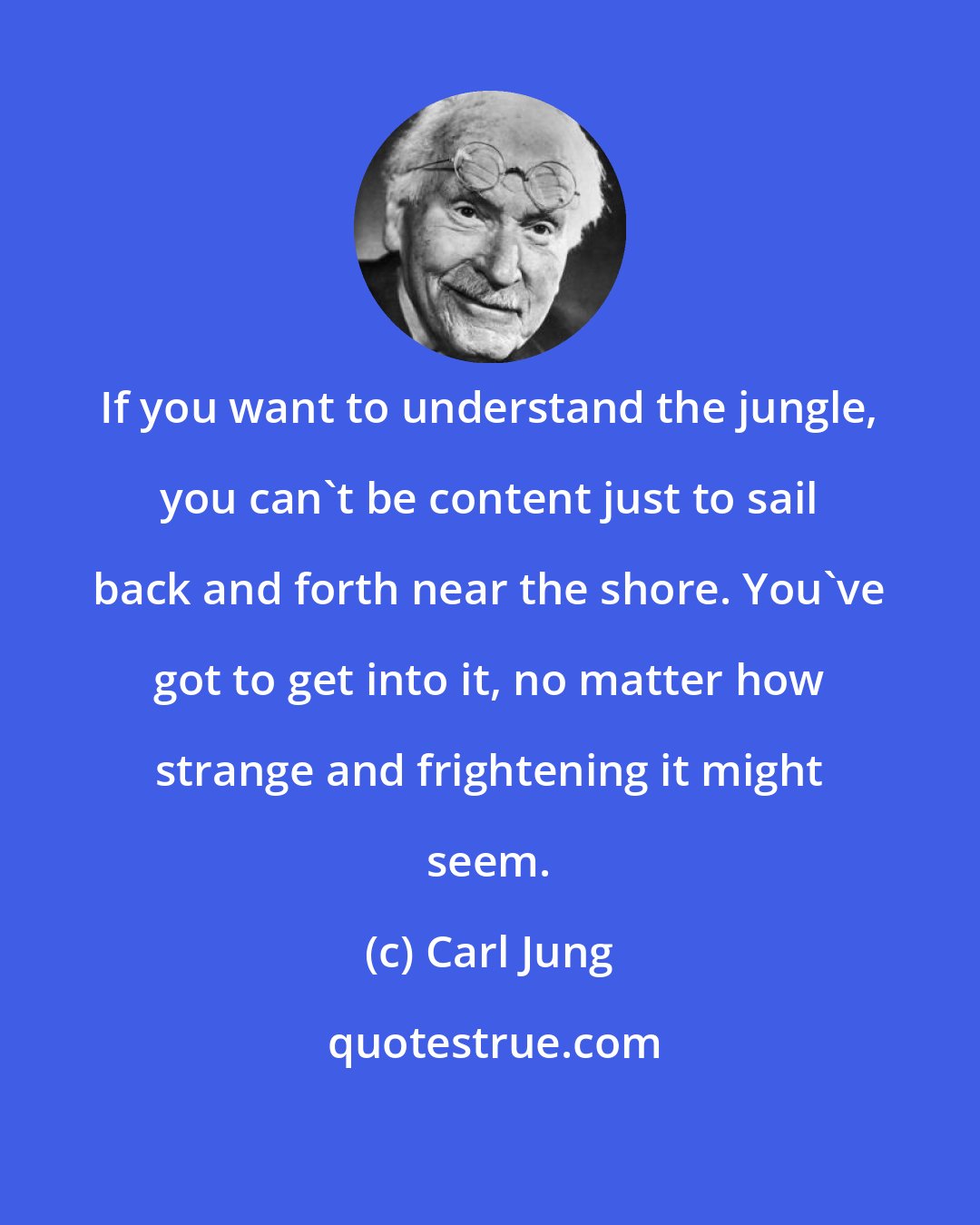 Carl Jung: If you want to understand the jungle, you can't be content just to sail back and forth near the shore. You've got to get into it, no matter how strange and frightening it might seem.