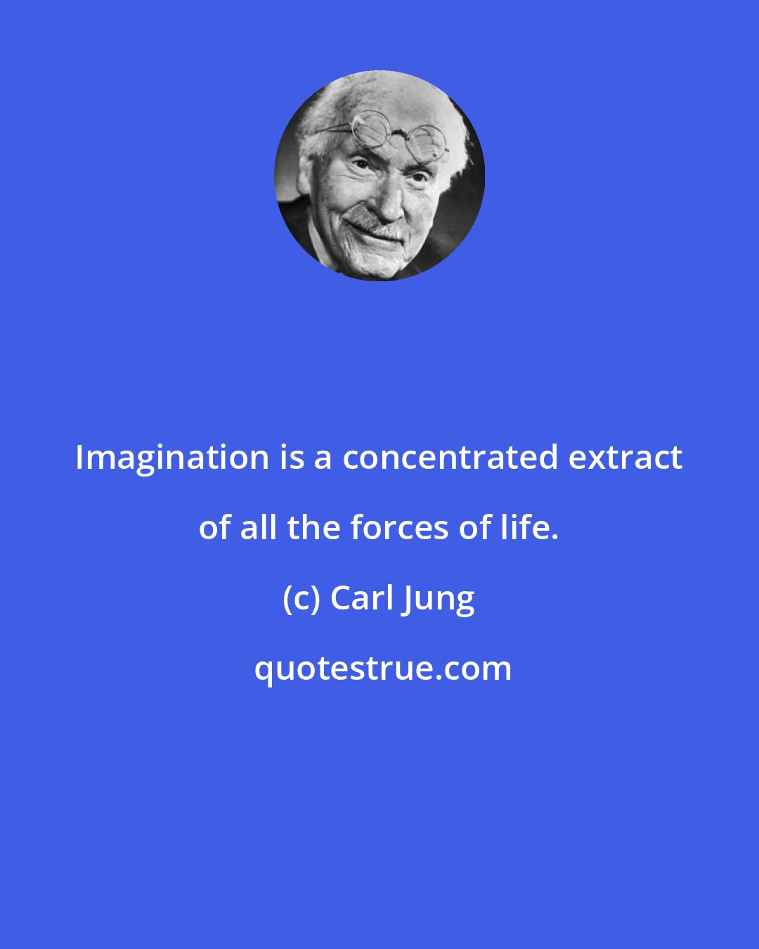 Carl Jung: Imagination is a concentrated extract of all the forces of life.