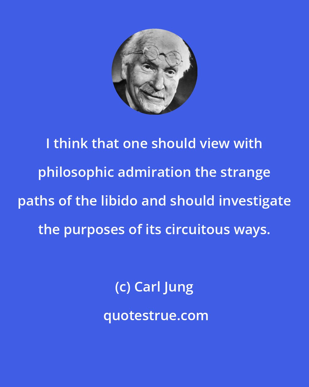 Carl Jung: I think that one should view with philosophic admiration the strange paths of the libido and should investigate the purposes of its circuitous ways.