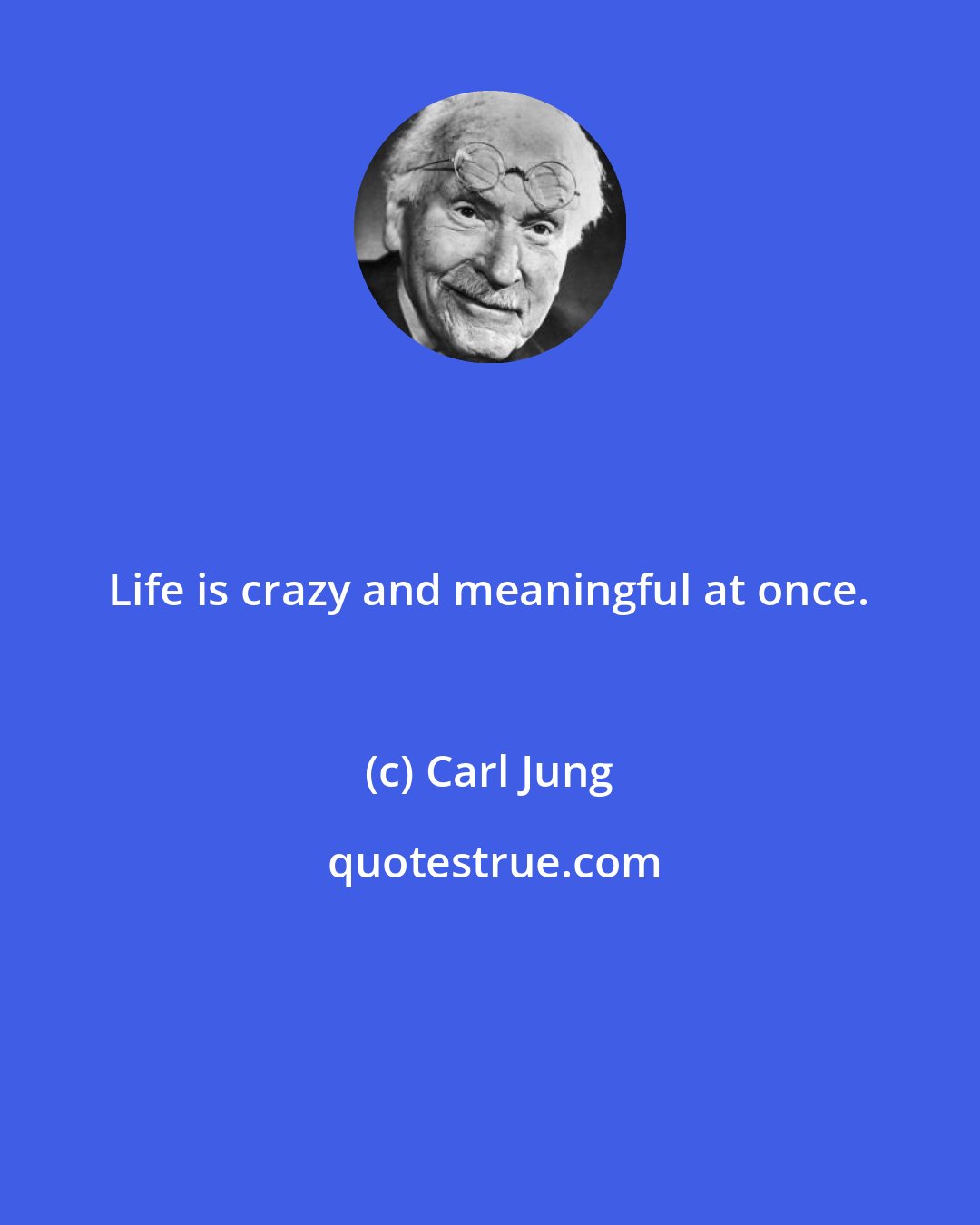 Carl Jung: Life is crazy and meaningful at once.