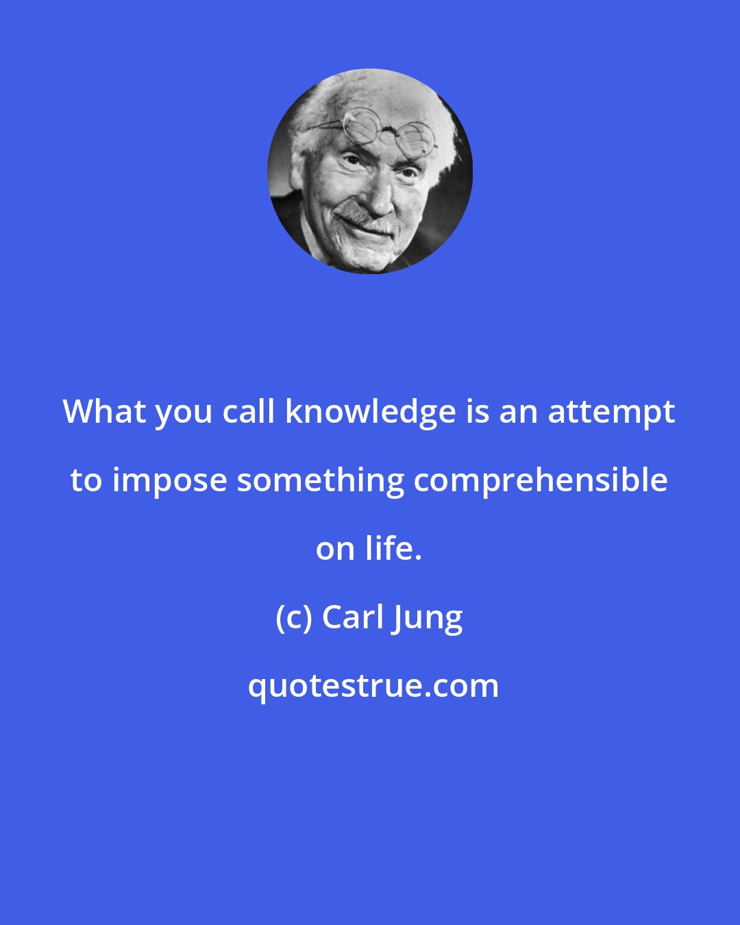 Carl Jung: What you call knowledge is an attempt to impose something comprehensible on life.