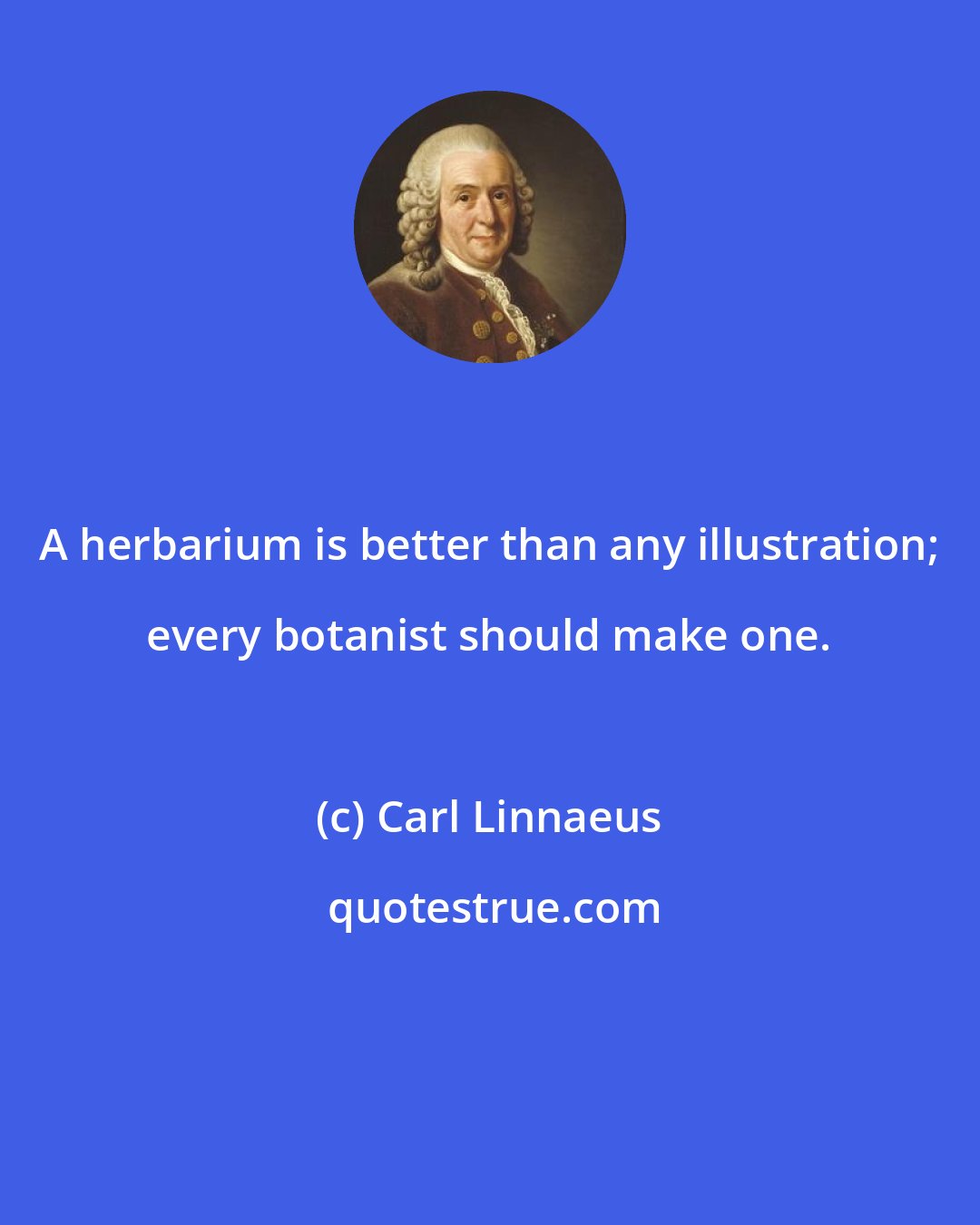 Carl Linnaeus: A herbarium is better than any illustration; every botanist should make one.