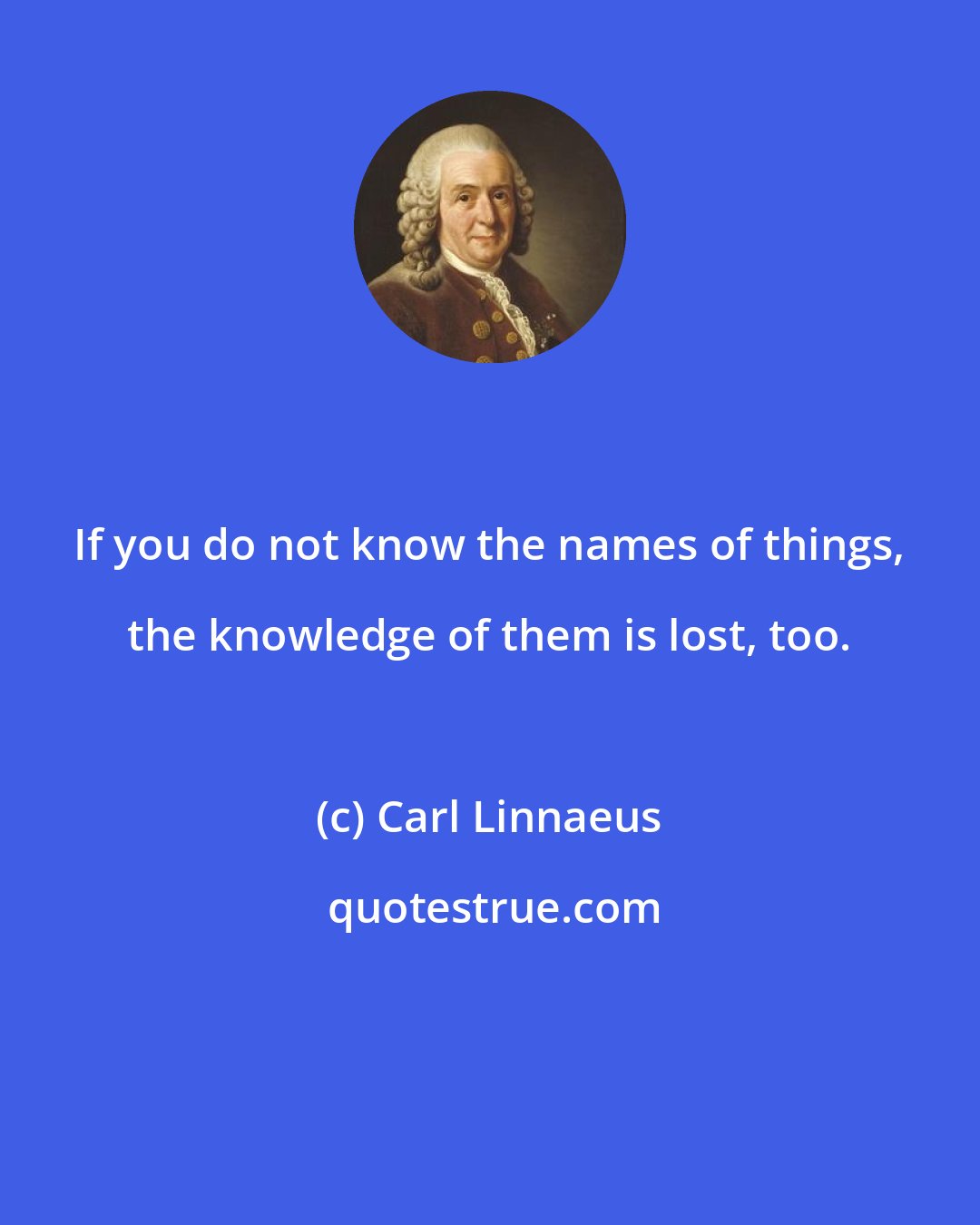 Carl Linnaeus: If you do not know the names of things, the knowledge of them is lost, too.