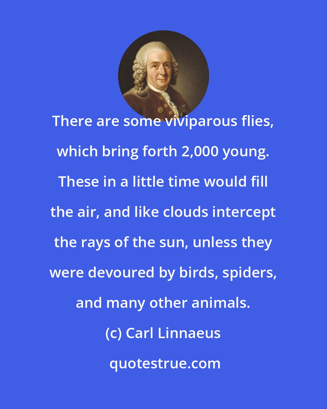 Carl Linnaeus: There are some viviparous flies, which bring forth 2,000 young. These in a little time would fill the air, and like clouds intercept the rays of the sun, unless they were devoured by birds, spiders, and many other animals.