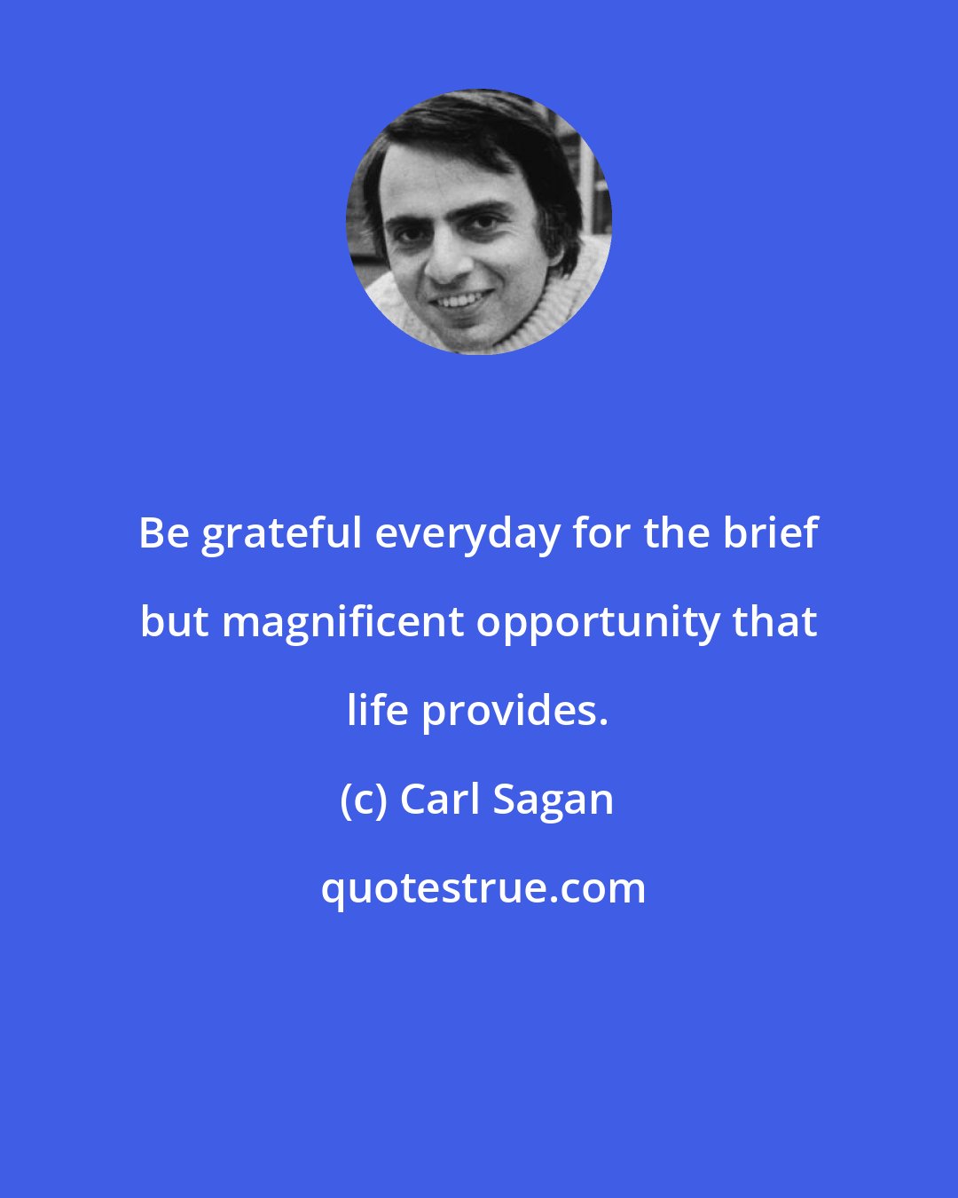 Carl Sagan: Be grateful everyday for the brief but magnificent opportunity that life provides.