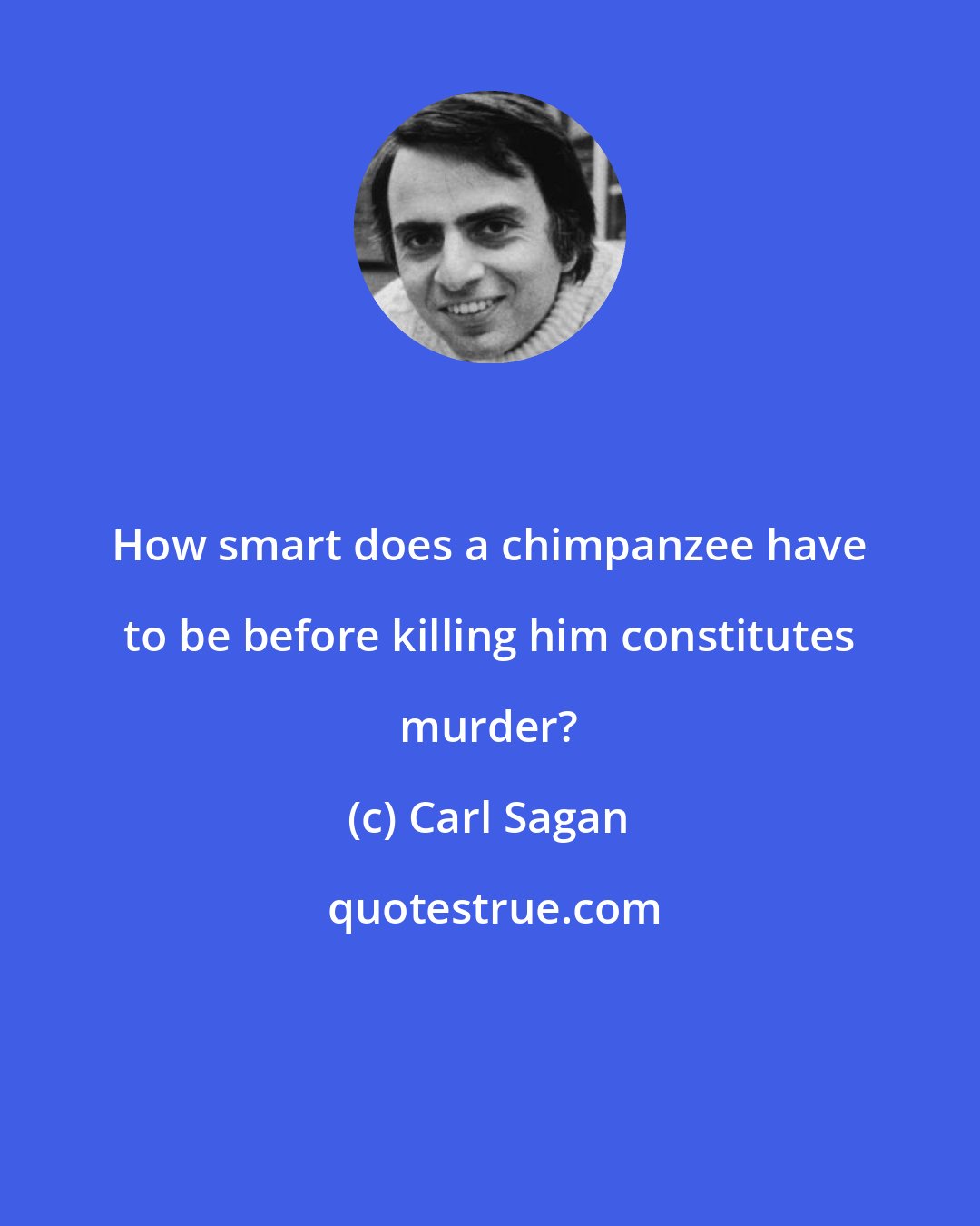 Carl Sagan: How smart does a chimpanzee have to be before killing him constitutes murder?