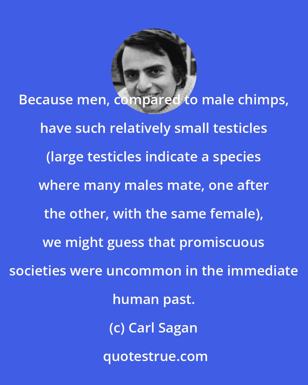 Carl Sagan: Because men, compared to male chimps, have such relatively small testicles (large testicles indicate a species where many males mate, one after the other, with the same female), we might guess that promiscuous societies were uncommon in the immediate human past.