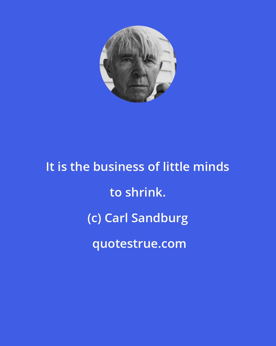 Carl Sandburg: It is the business of little minds to shrink.