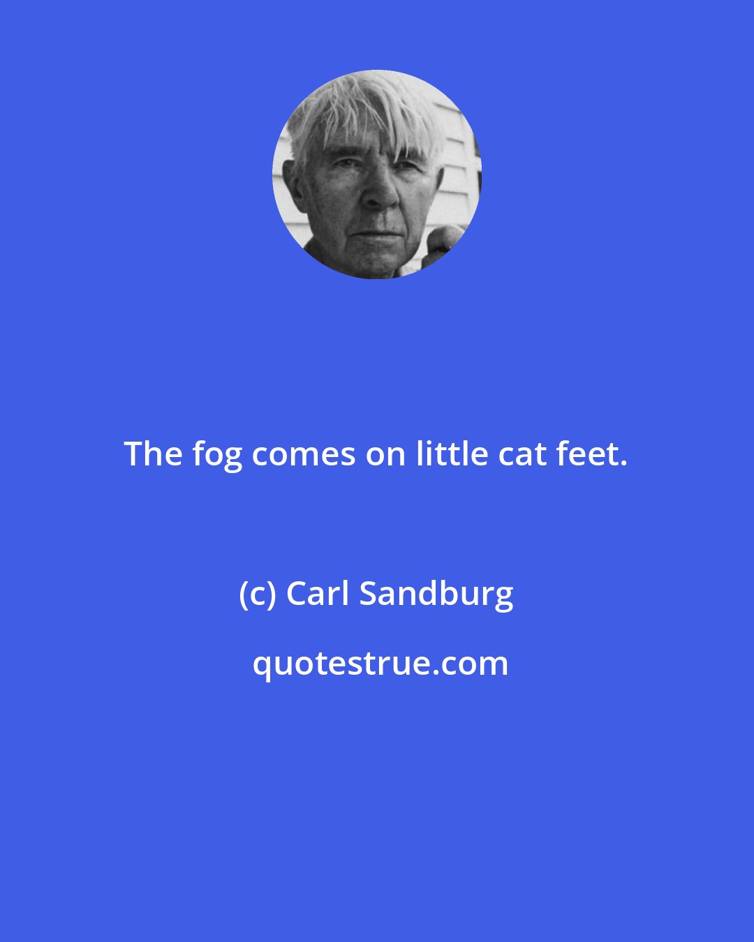 Carl Sandburg: The fog comes on little cat feet.