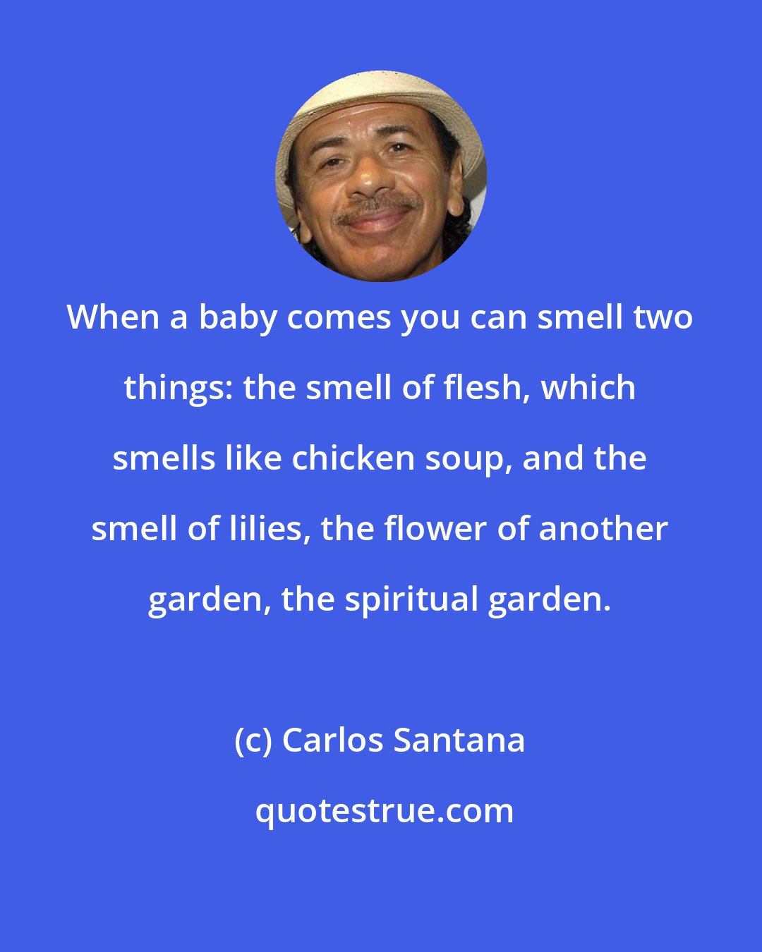 Carlos Santana: When a baby comes you can smell two things: the smell of flesh, which smells like chicken soup, and the smell of lilies, the flower of another garden, the spiritual garden.